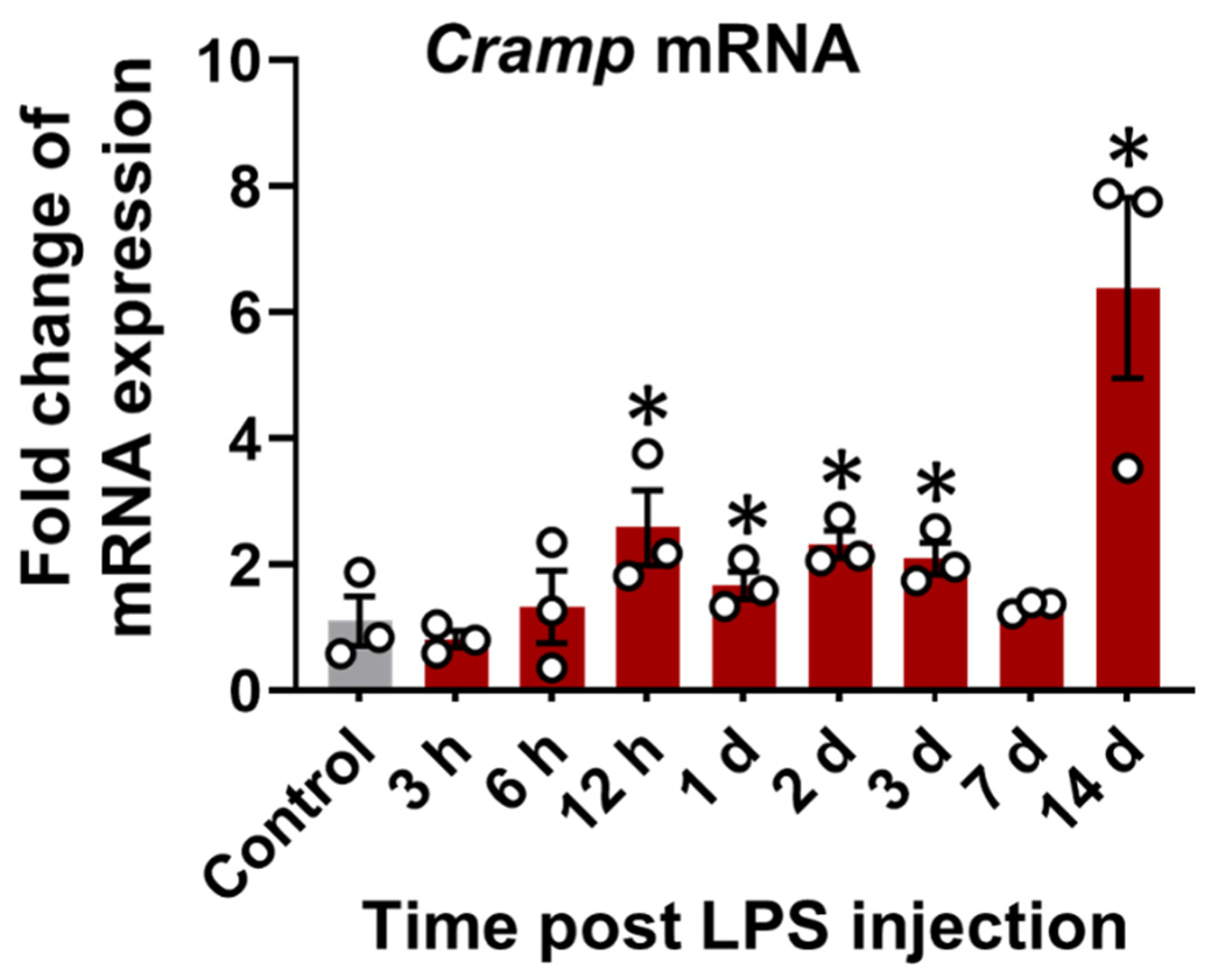 Cells 11 03886 g003 Cells 11 03886 g003