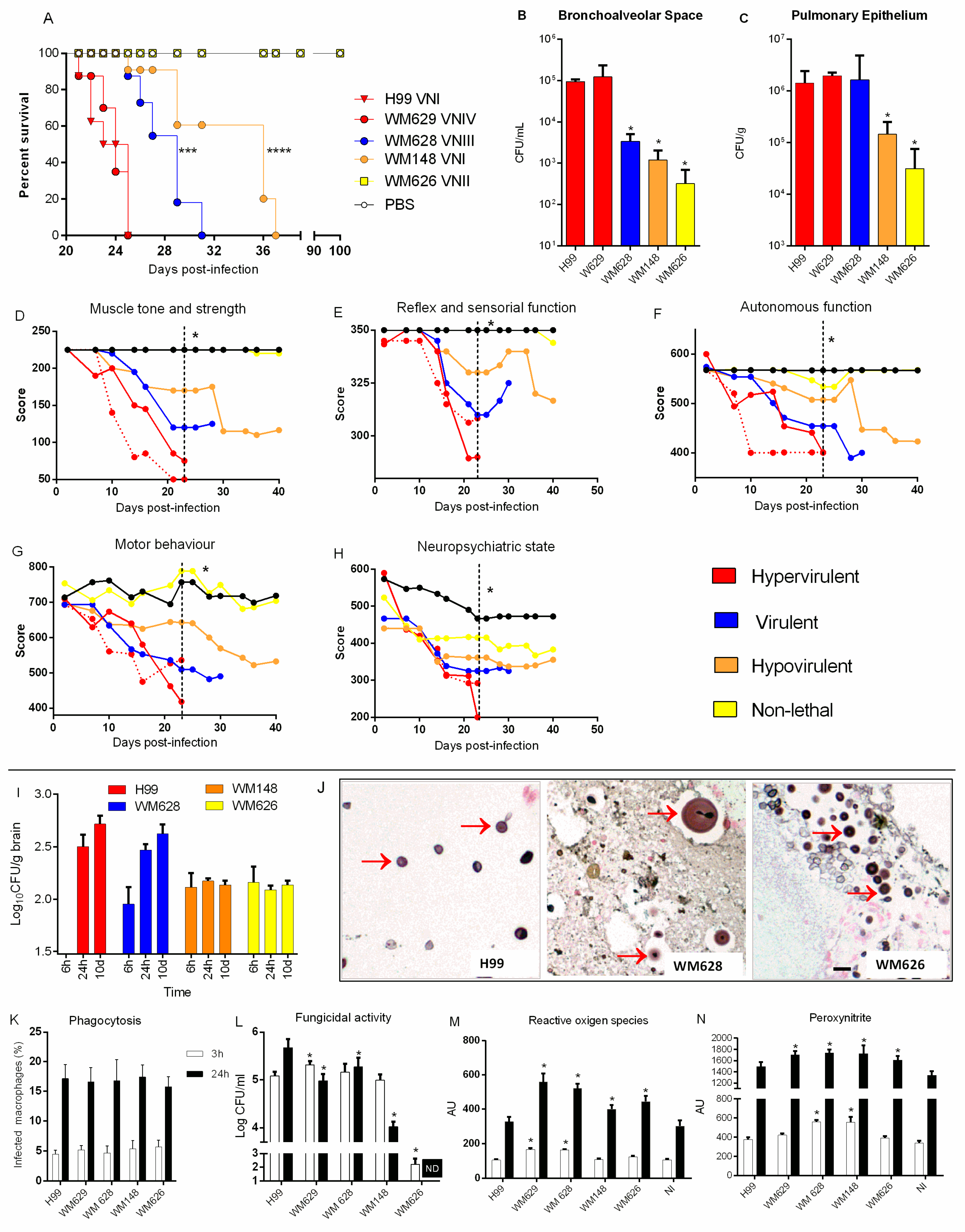 Cells 11 03896 g002 Cells 11 03896 g002