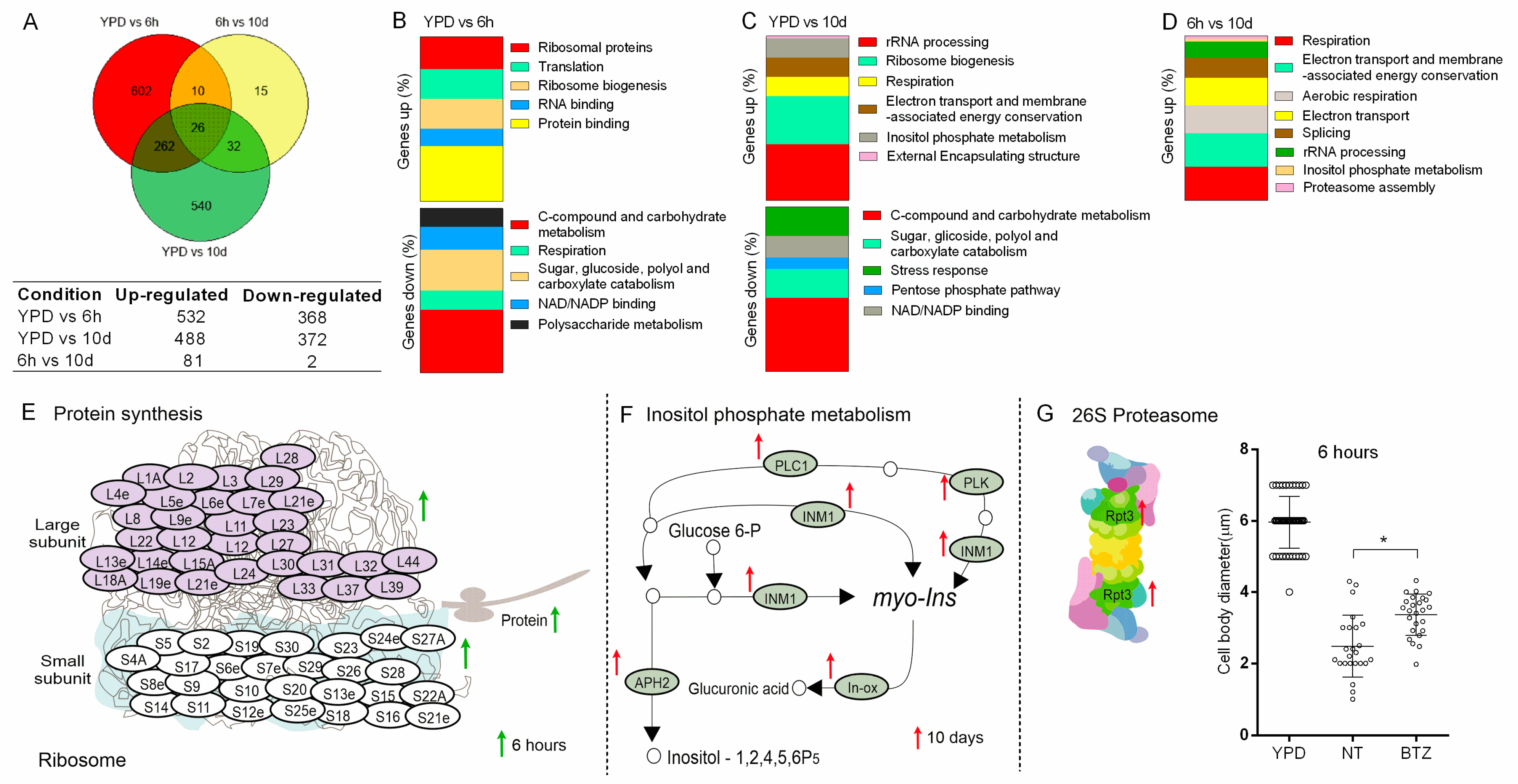 Cells 11 03896 g004 Cells 11 03896 g004