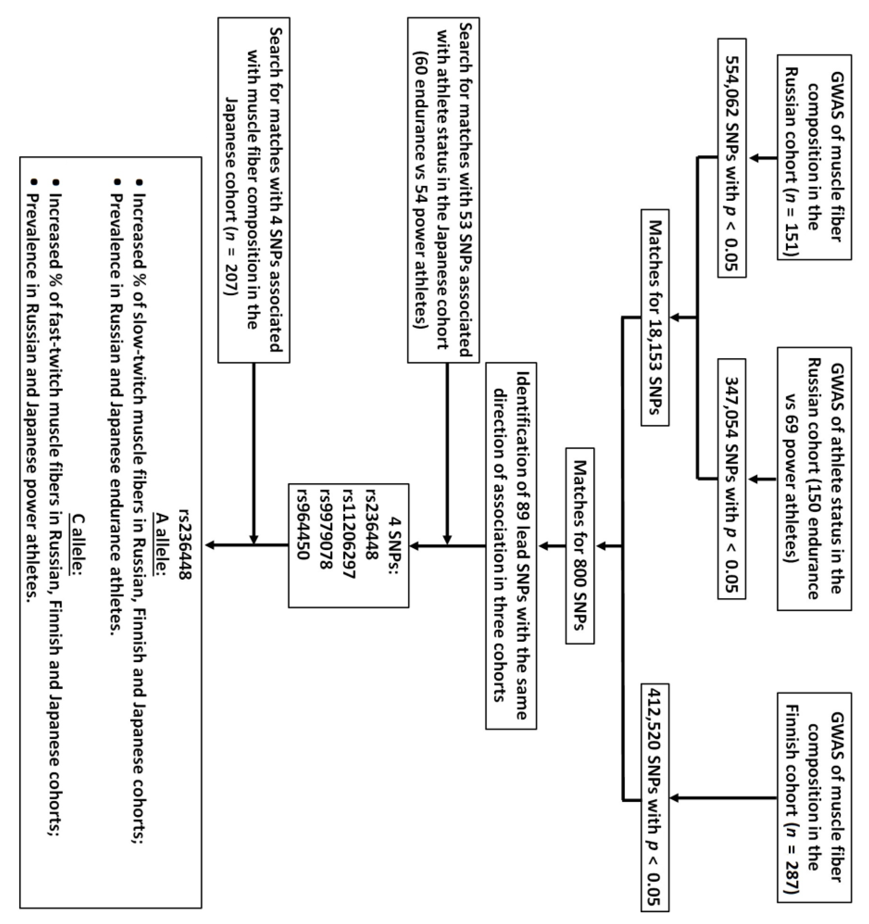 Cells 11 03910 g001 Cells 11 03910 g001