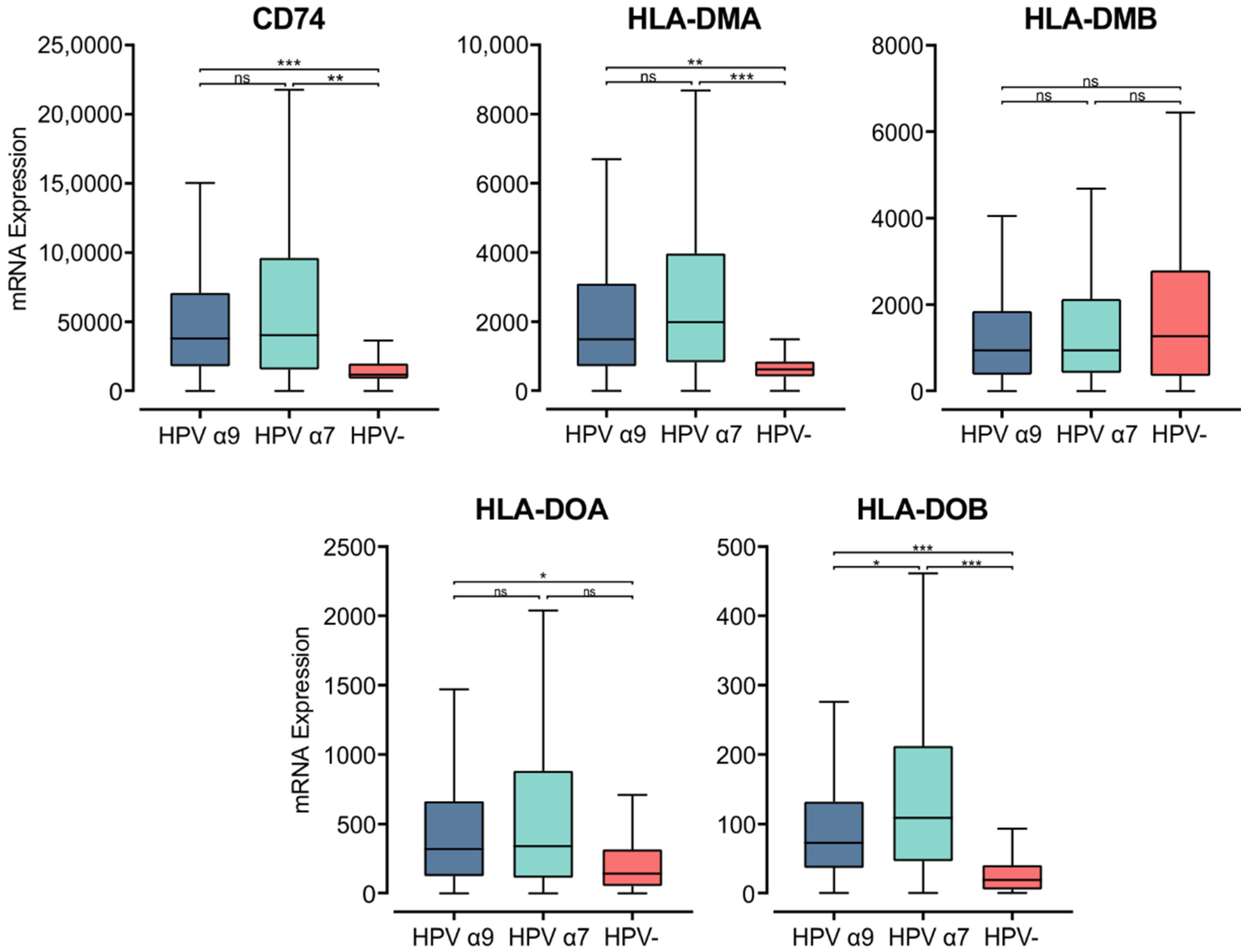Cells 11 03911 g002 Cells 11 03911 g002