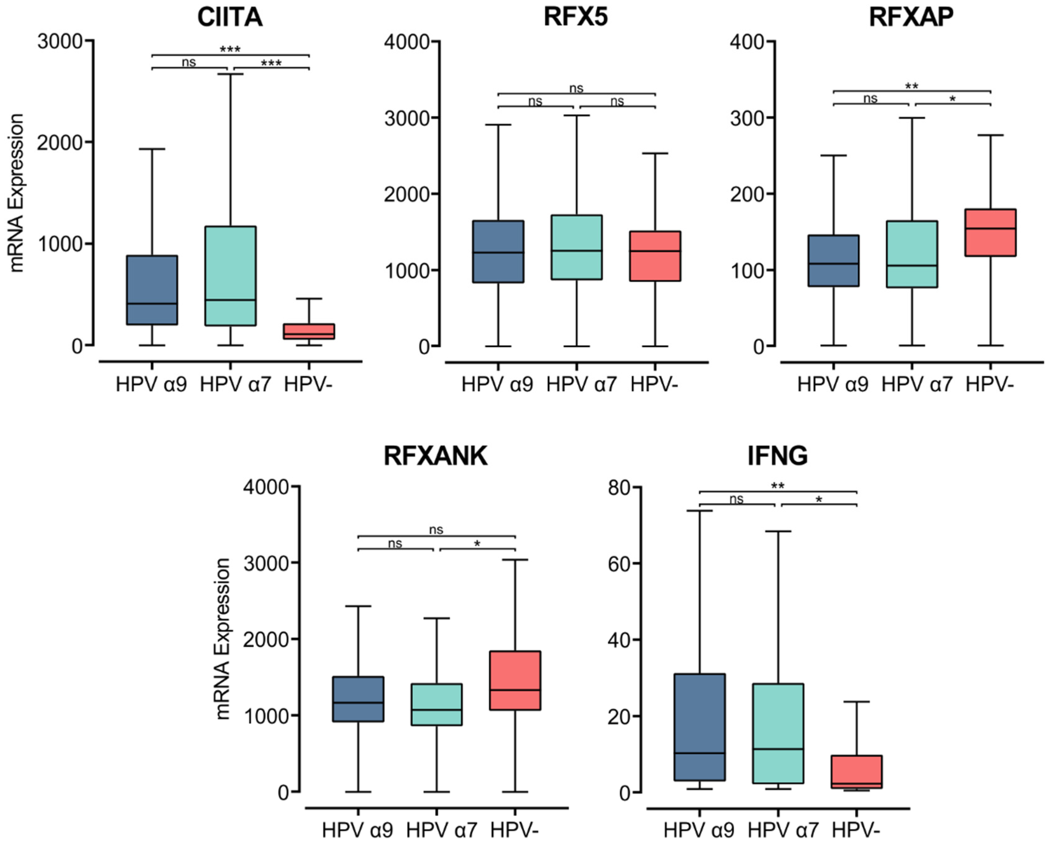 Cells 11 03911 g003 Cells 11 03911 g003