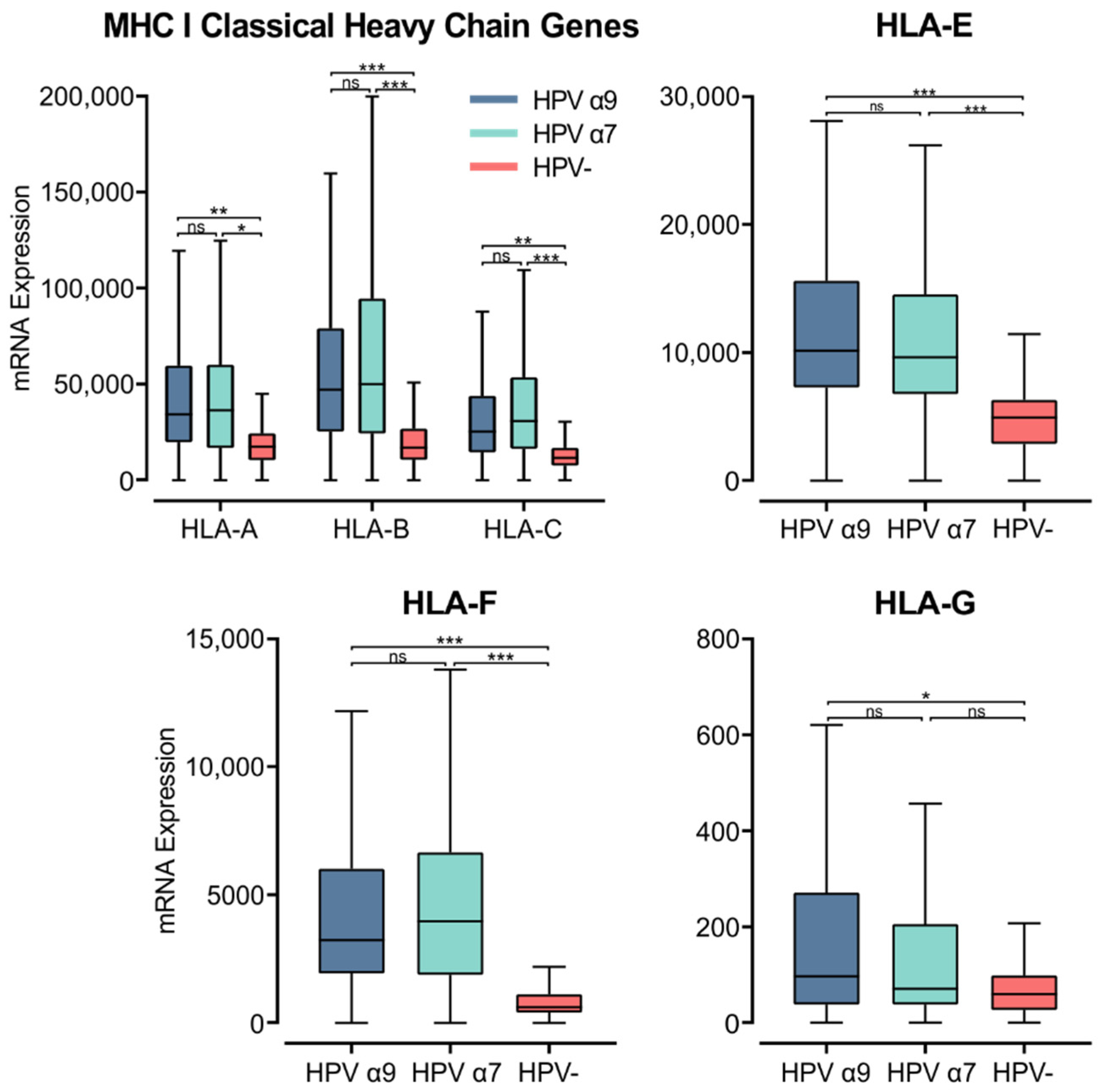 Cells 11 03911 g005 Cells 11 03911 g005
