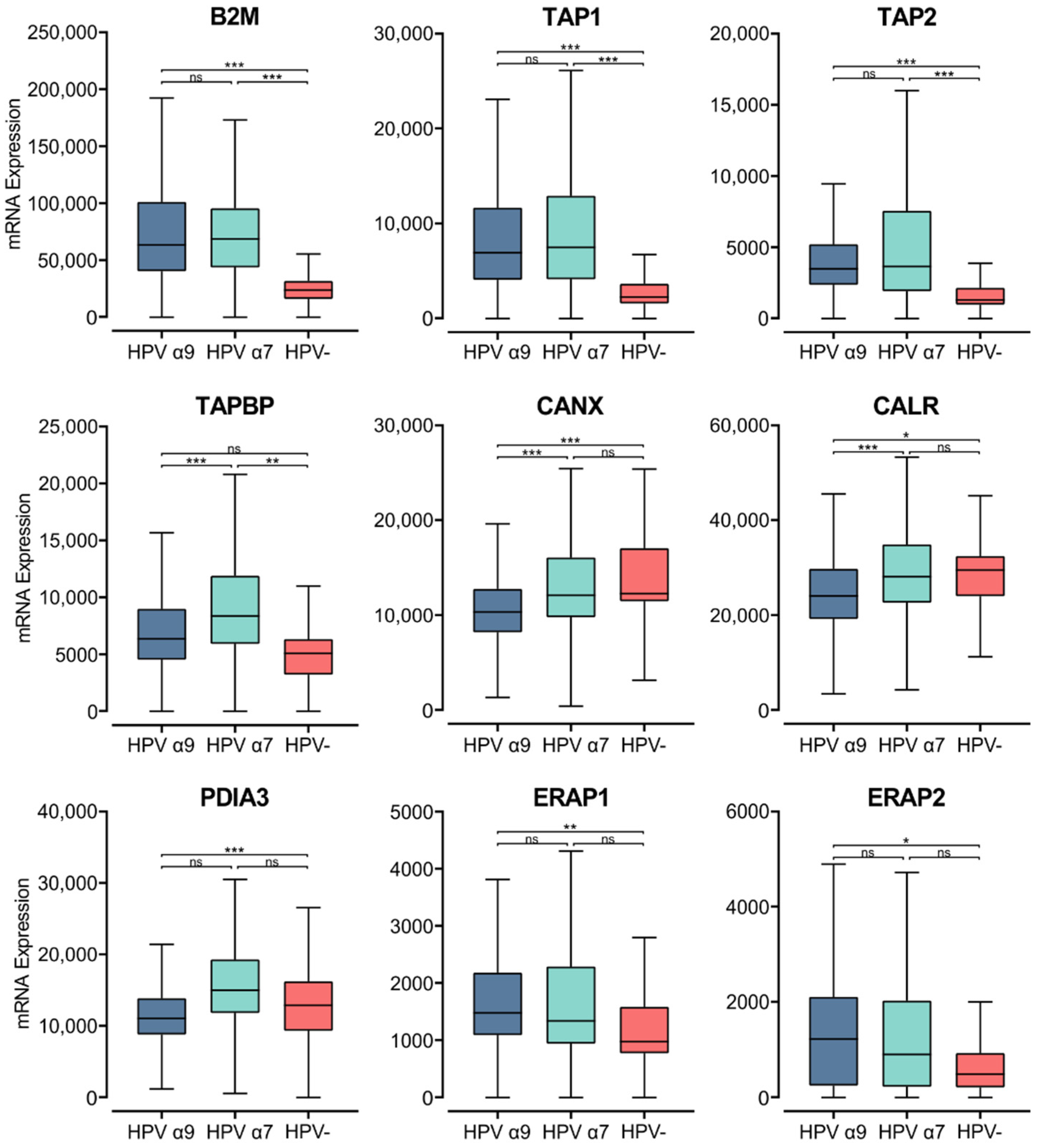 Cells 11 03911 g006 Cells 11 03911 g006