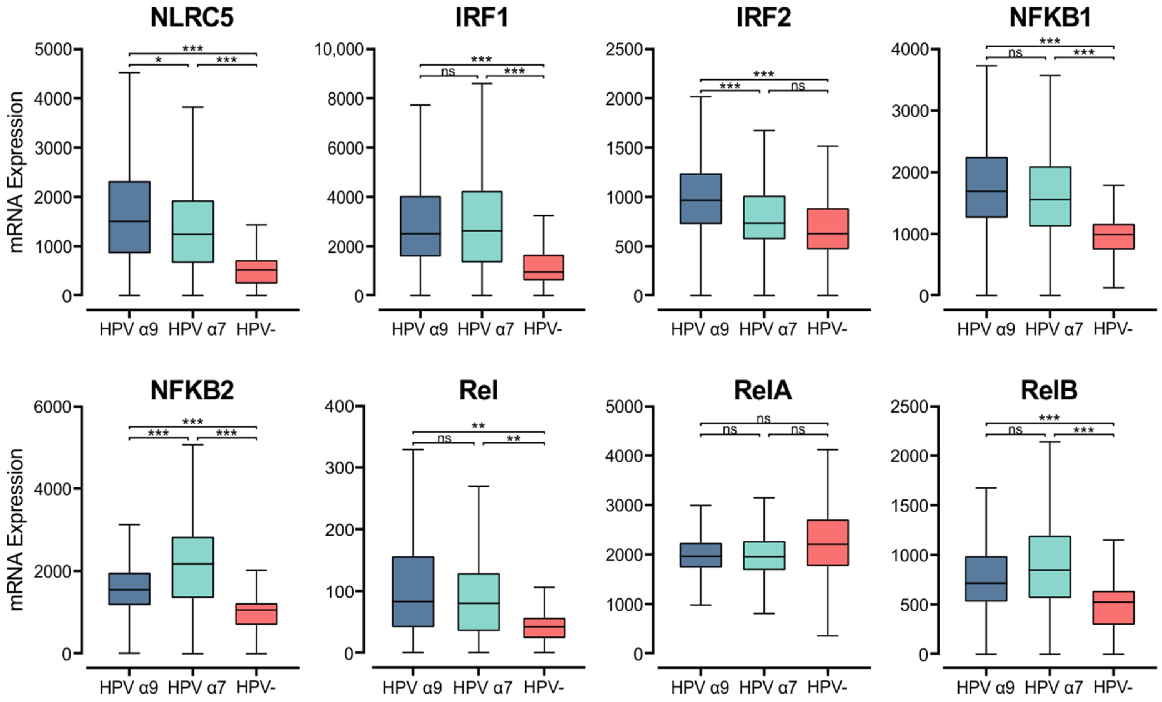 Cells 11 03911 g007 Cells 11 03911 g007