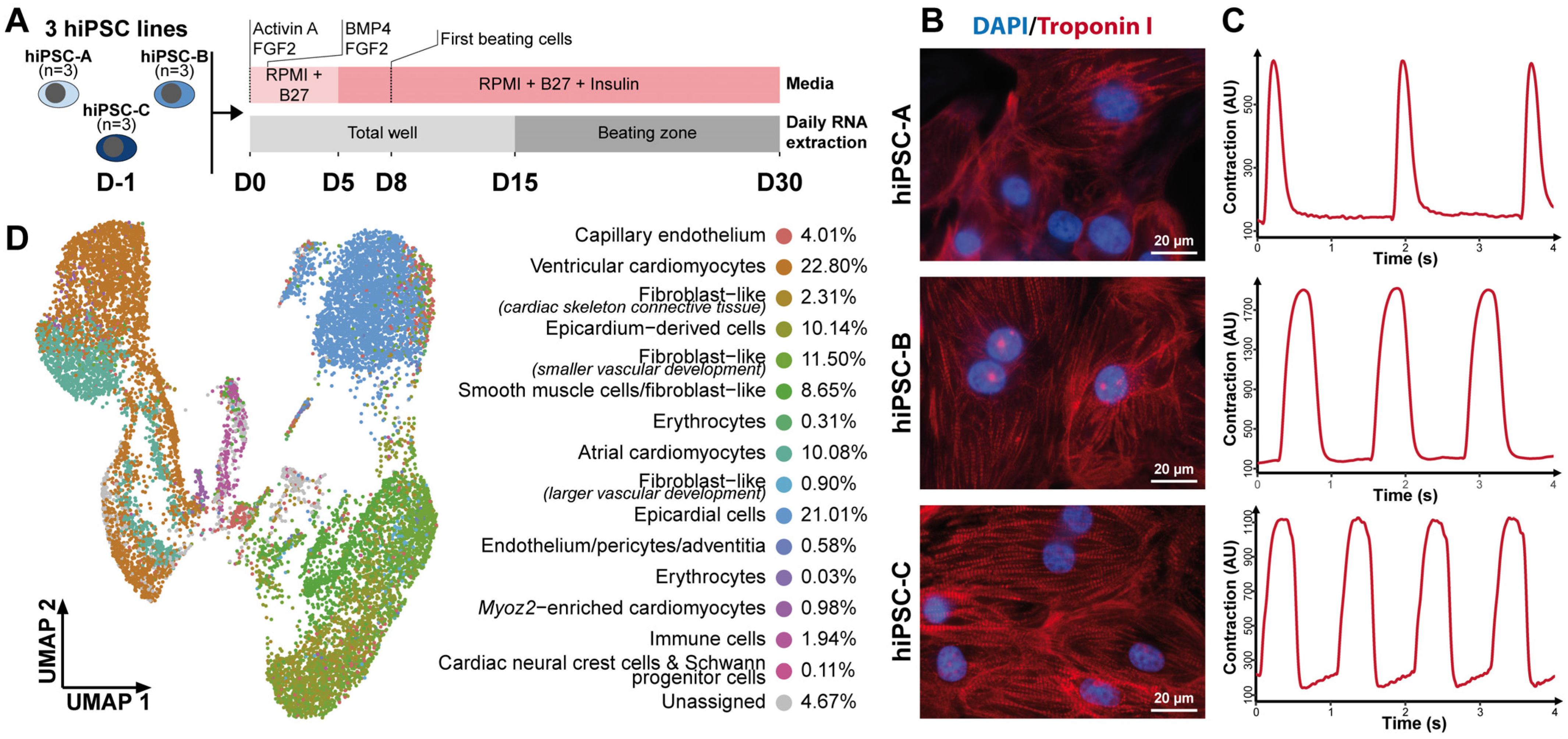 Cells 11 03915 g001 Cells 11 03915 g001