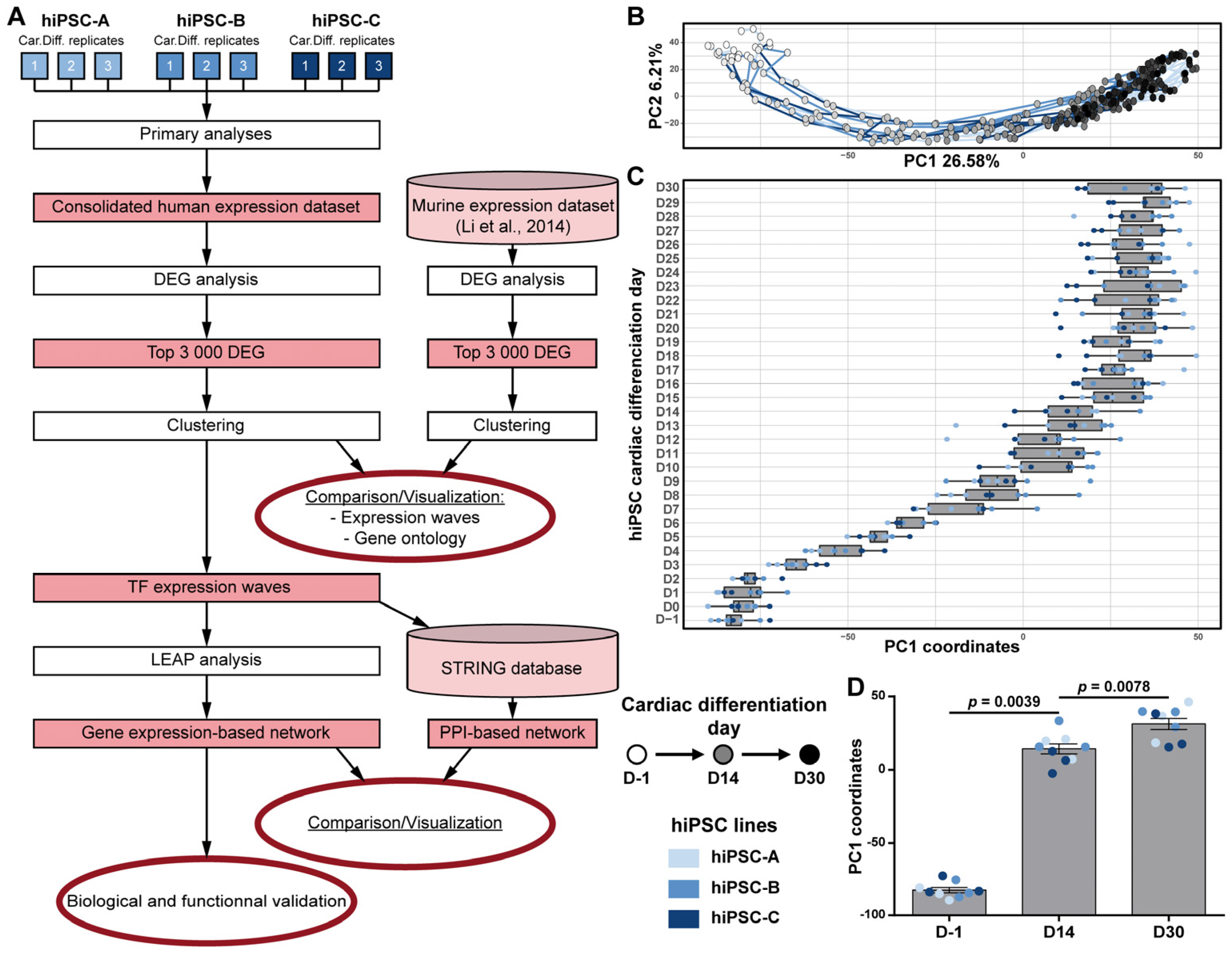 Cells 11 03915 g002 Cells 11 03915 g002
