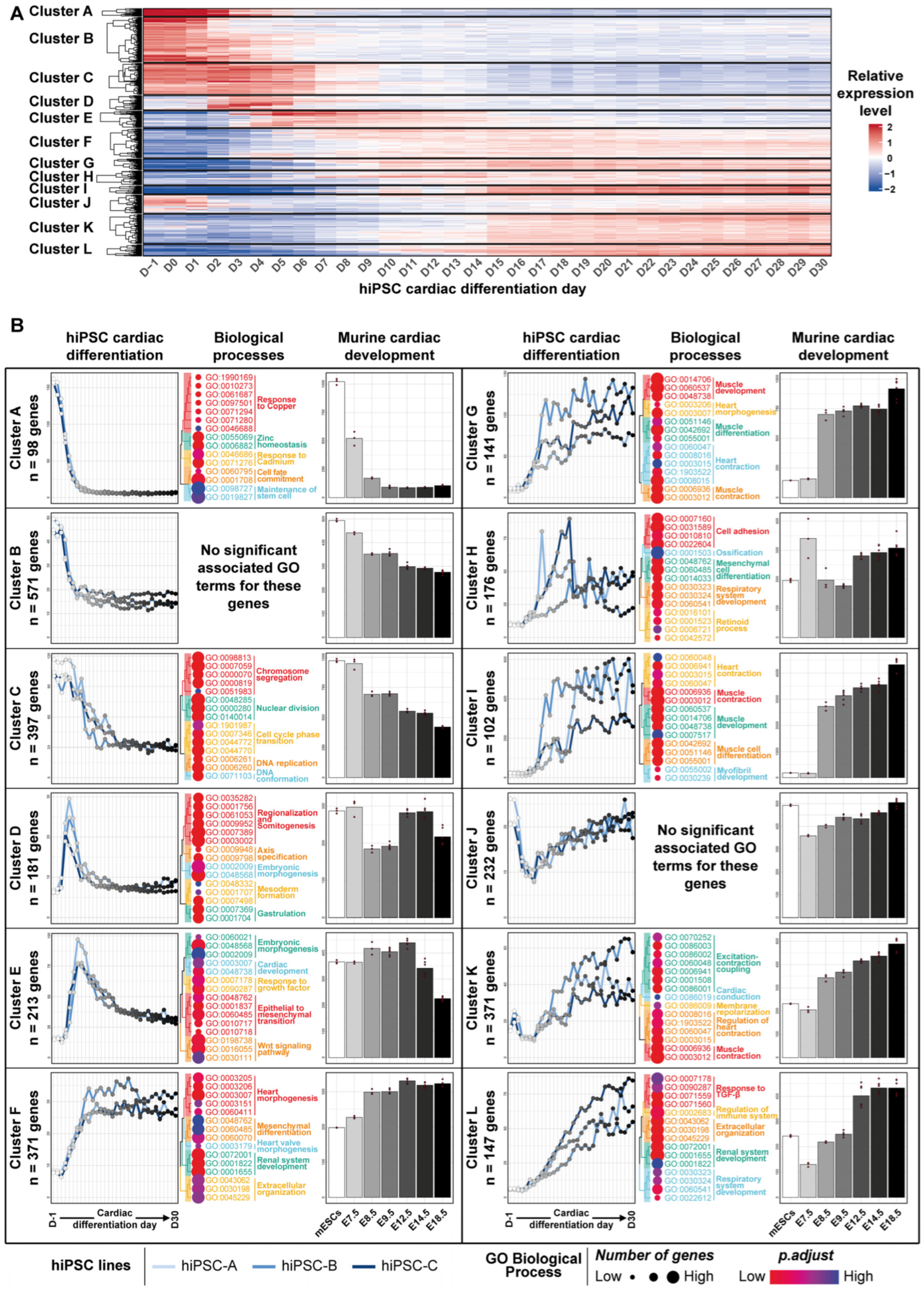 Cells 11 03915 g003 Cells 11 03915 g003