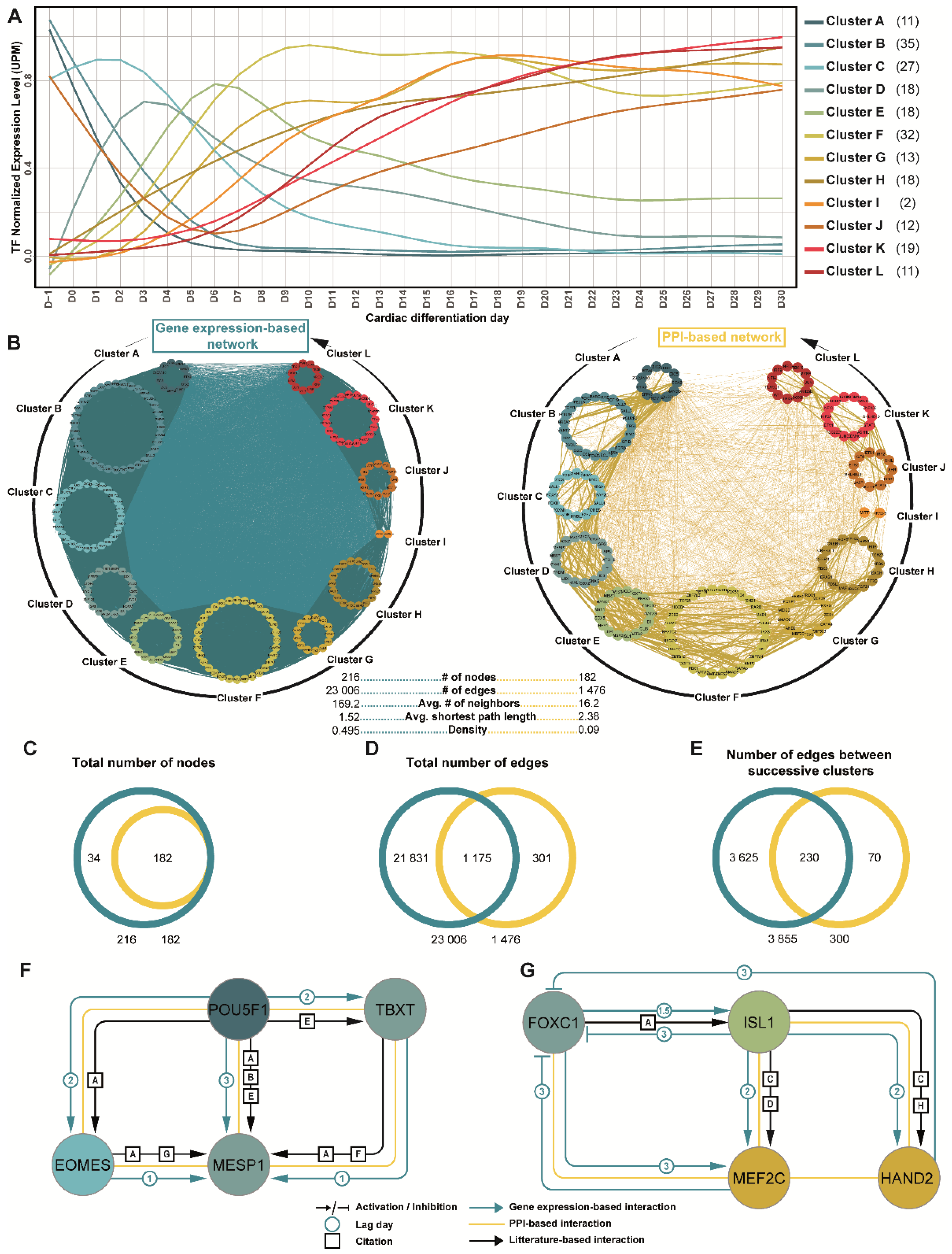 Cells 11 03915 g004 Cells 11 03915 g004