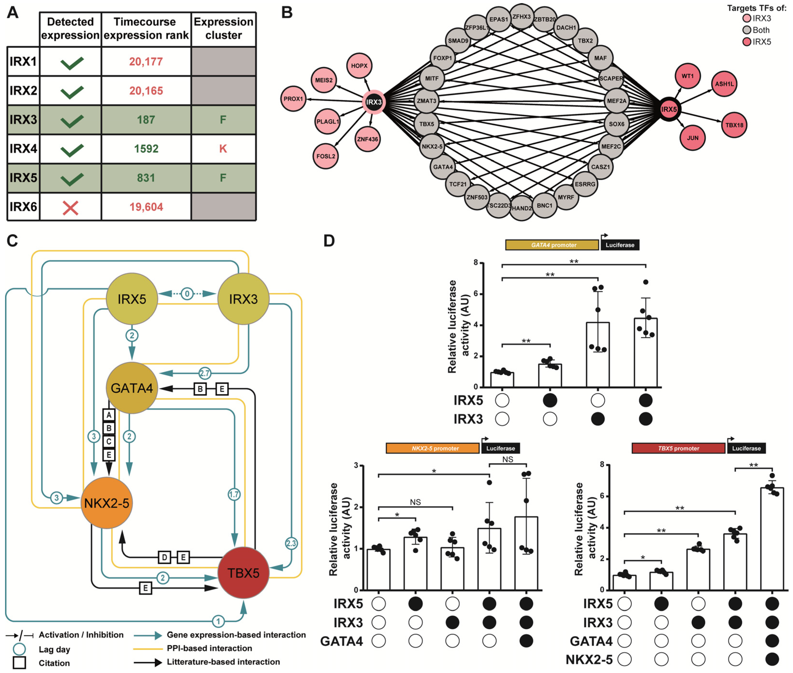 Cells 11 03915 g005 Cells 11 03915 g005