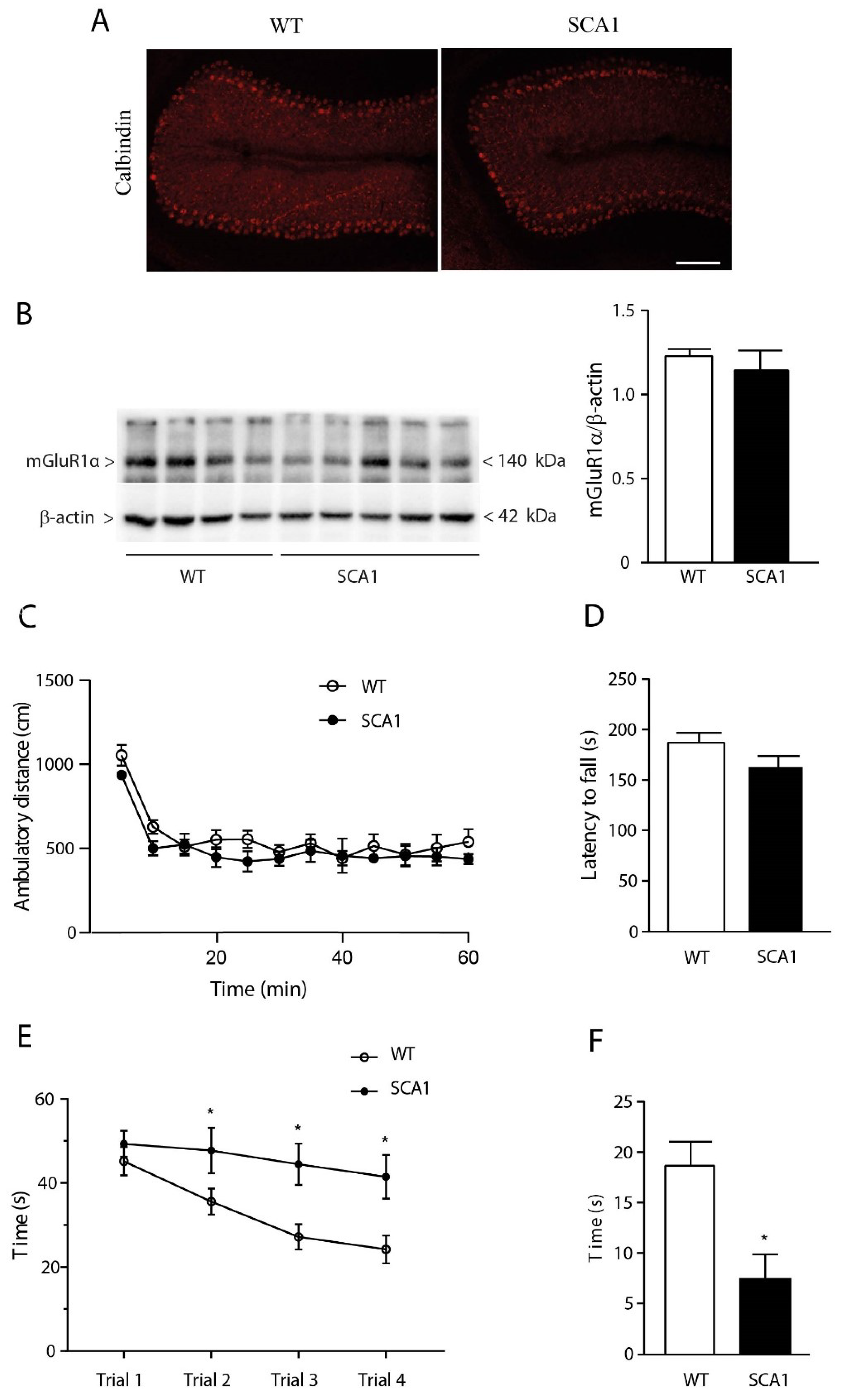 Cells 11 03916 g001 Cells 11 03916 g001