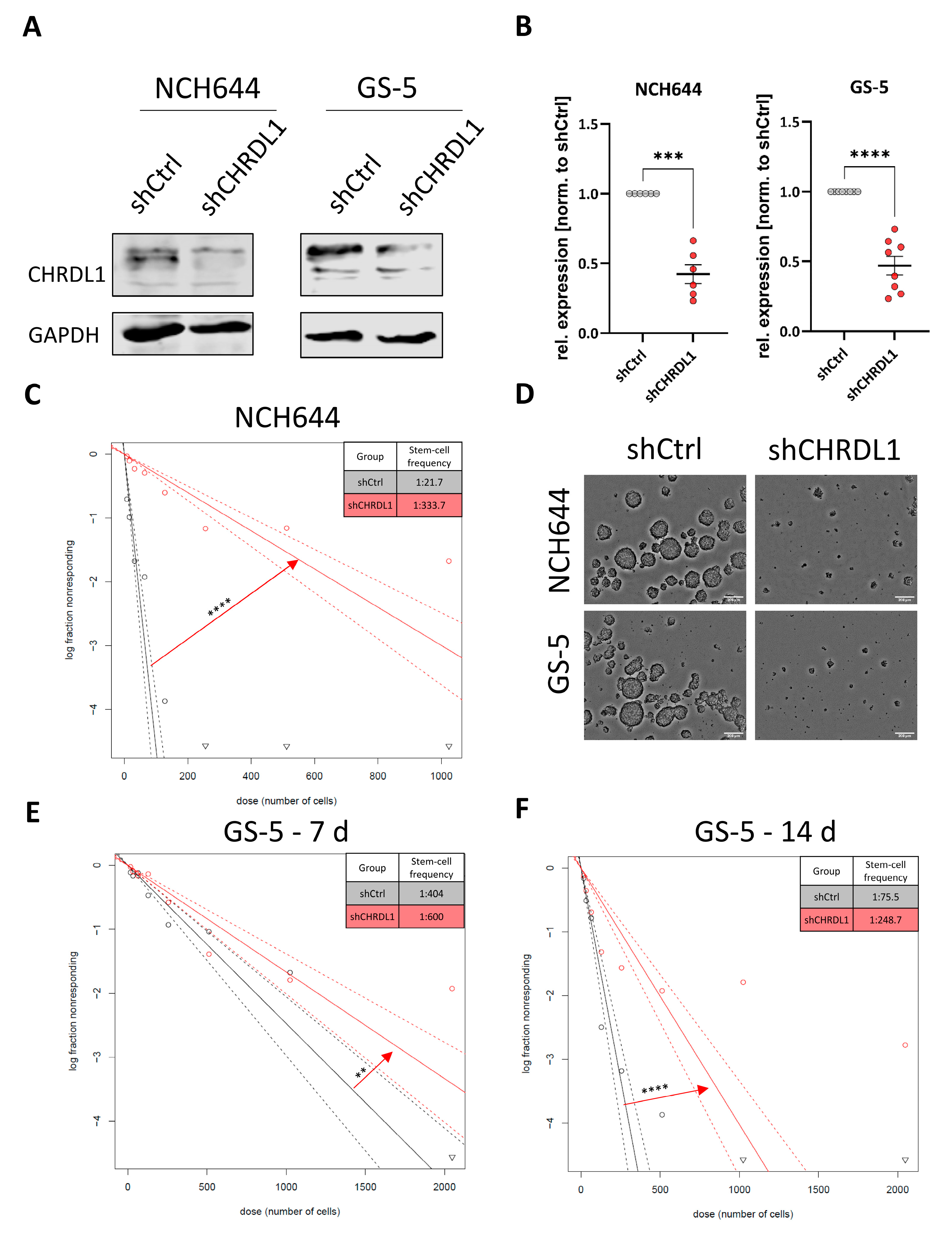 Cells 11 03917 g001 Cells 11 03917 g001