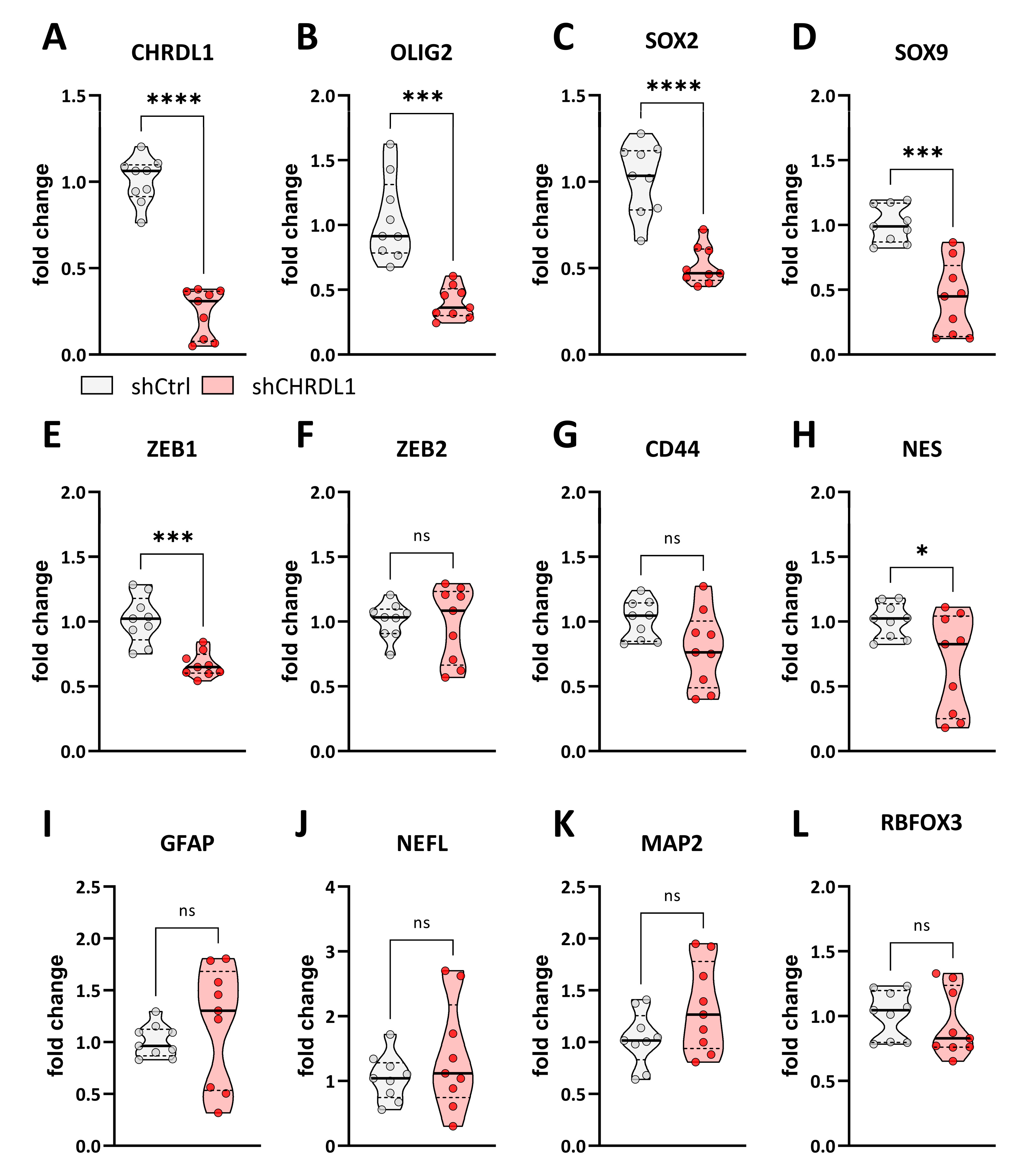 Cells 11 03917 g004 Cells 11 03917 g004
