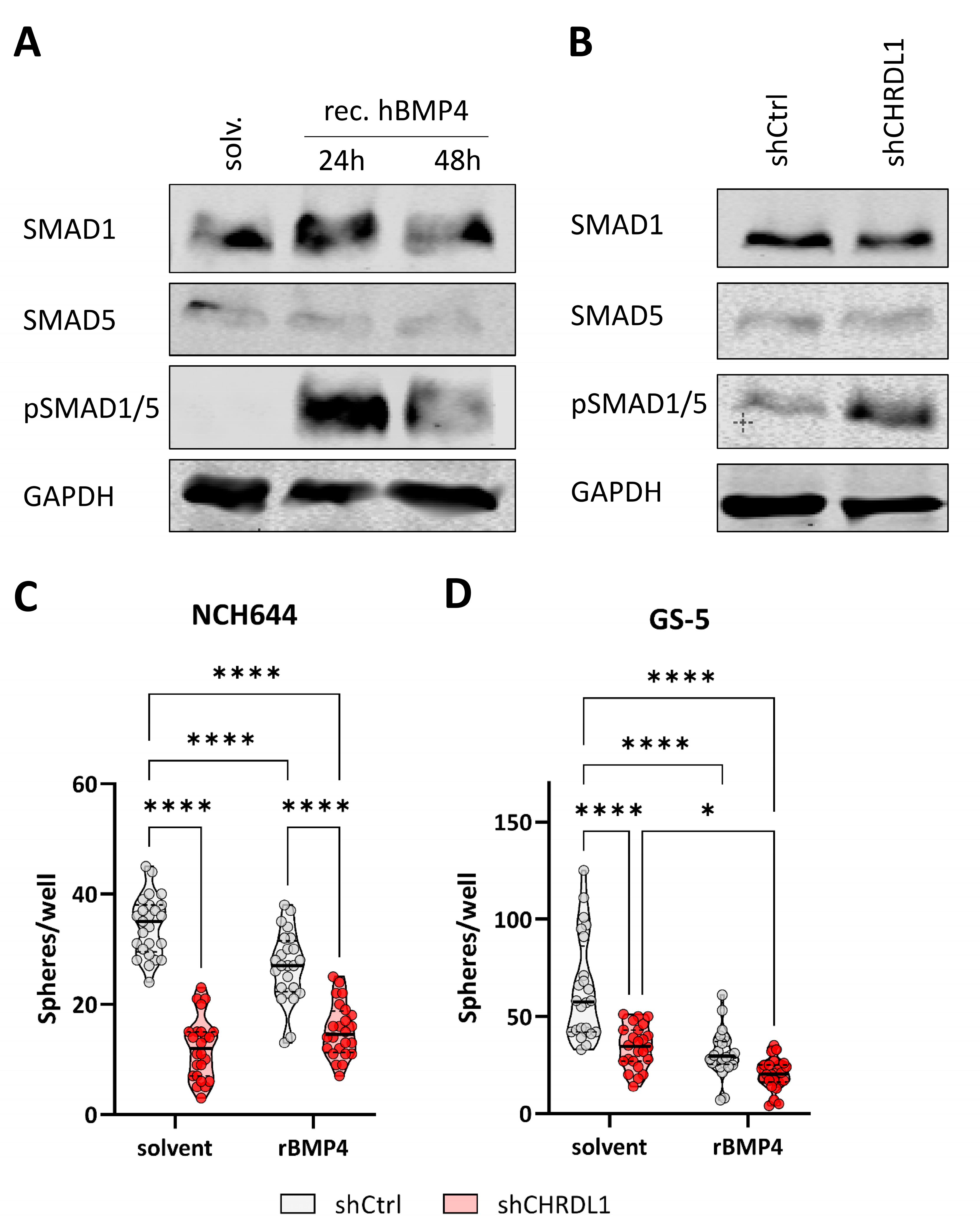 Cells 11 03917 g006 Cells 11 03917 g006