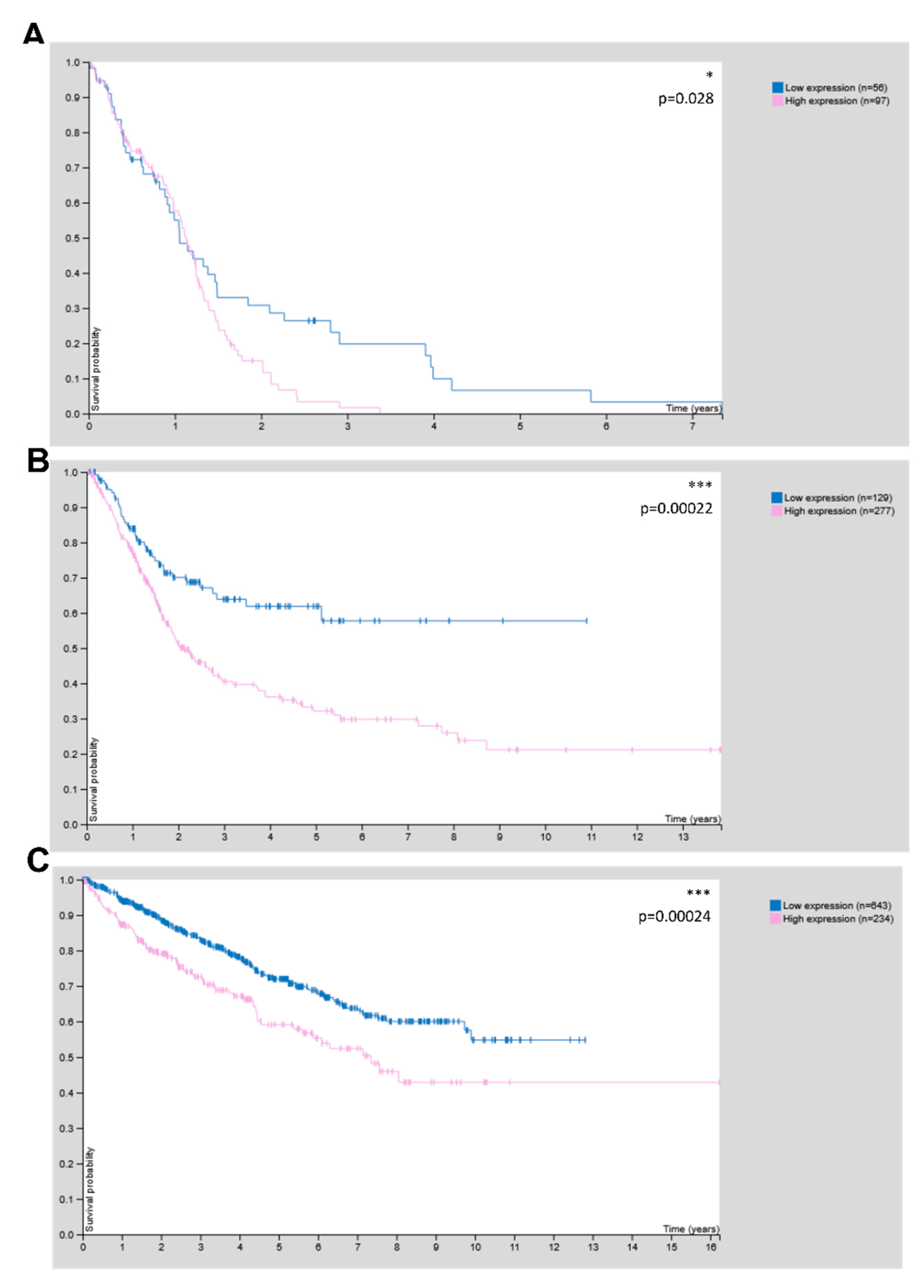 Cells 11 03917 g008 Cells 11 03917 g008