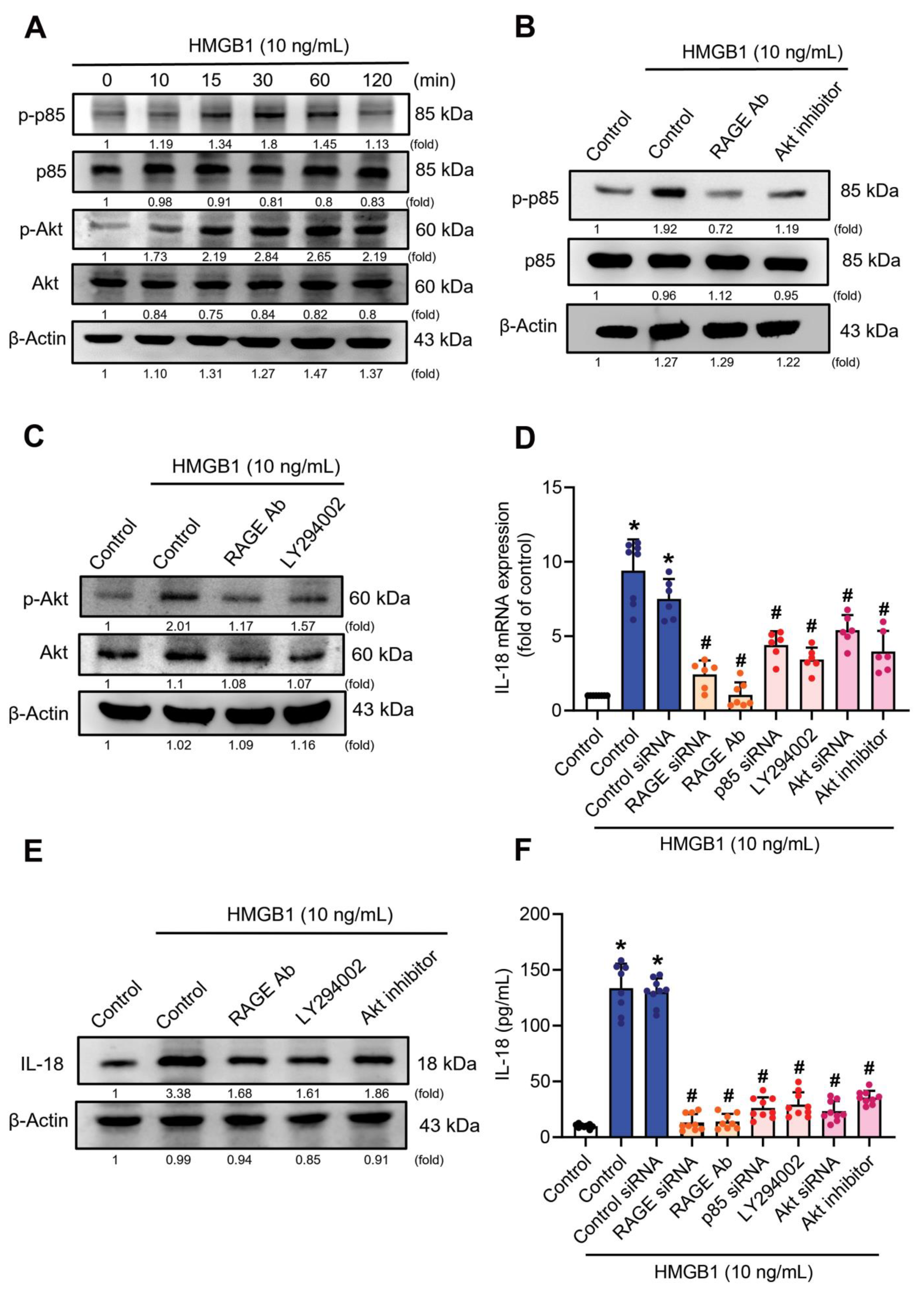 Cells 11 03936 g003 Cells 11 03936 g003