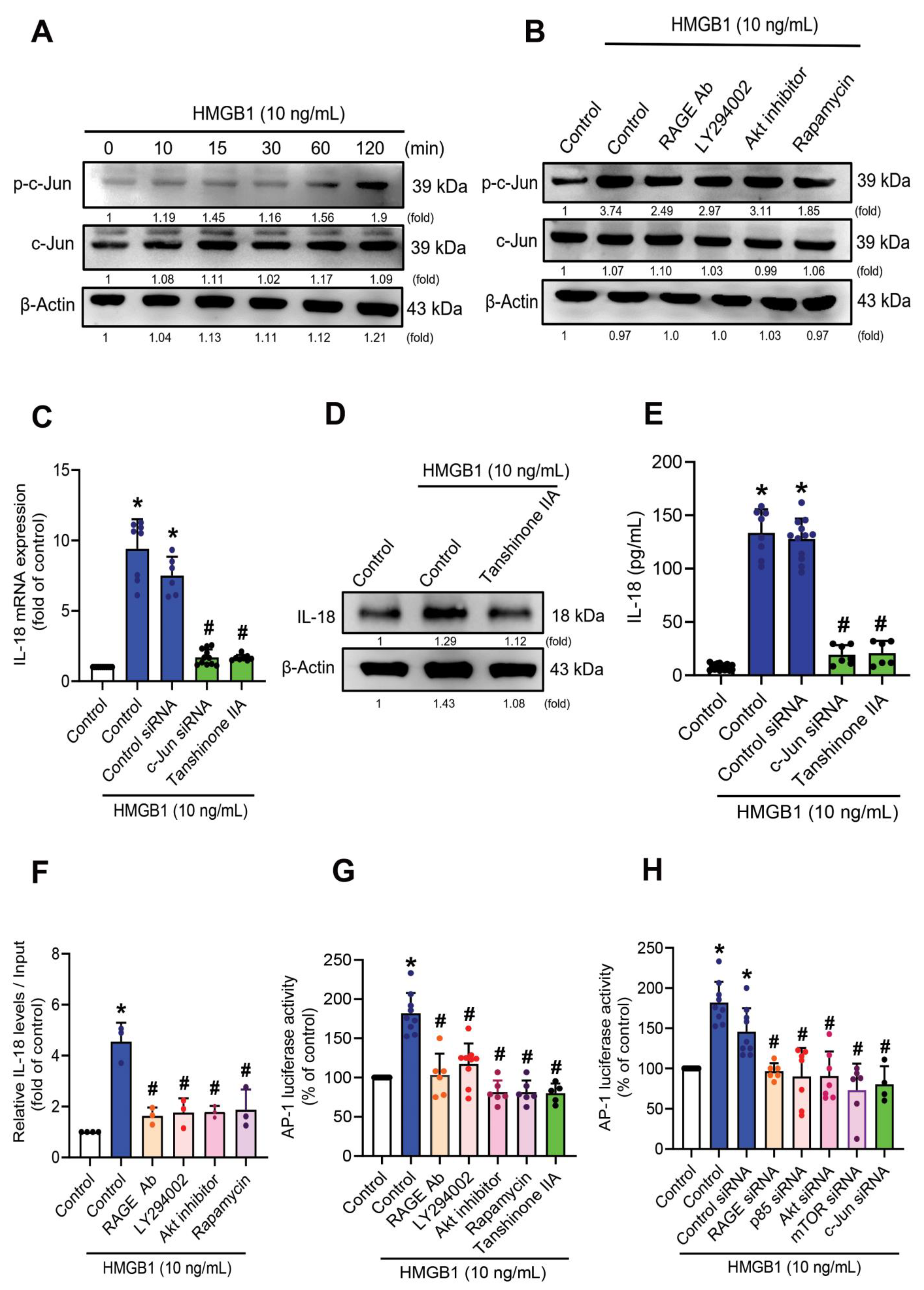 Cells 11 03936 g005 Cells 11 03936 g005
