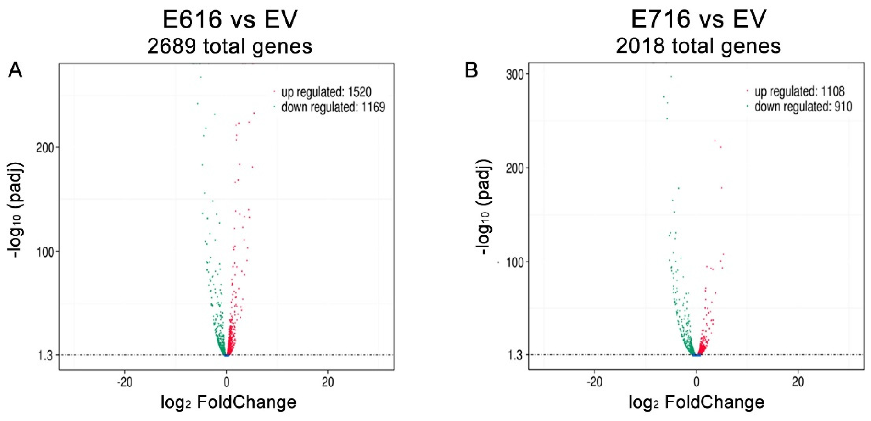 Cells 11 03942 g003 Cells 11 03942 g003