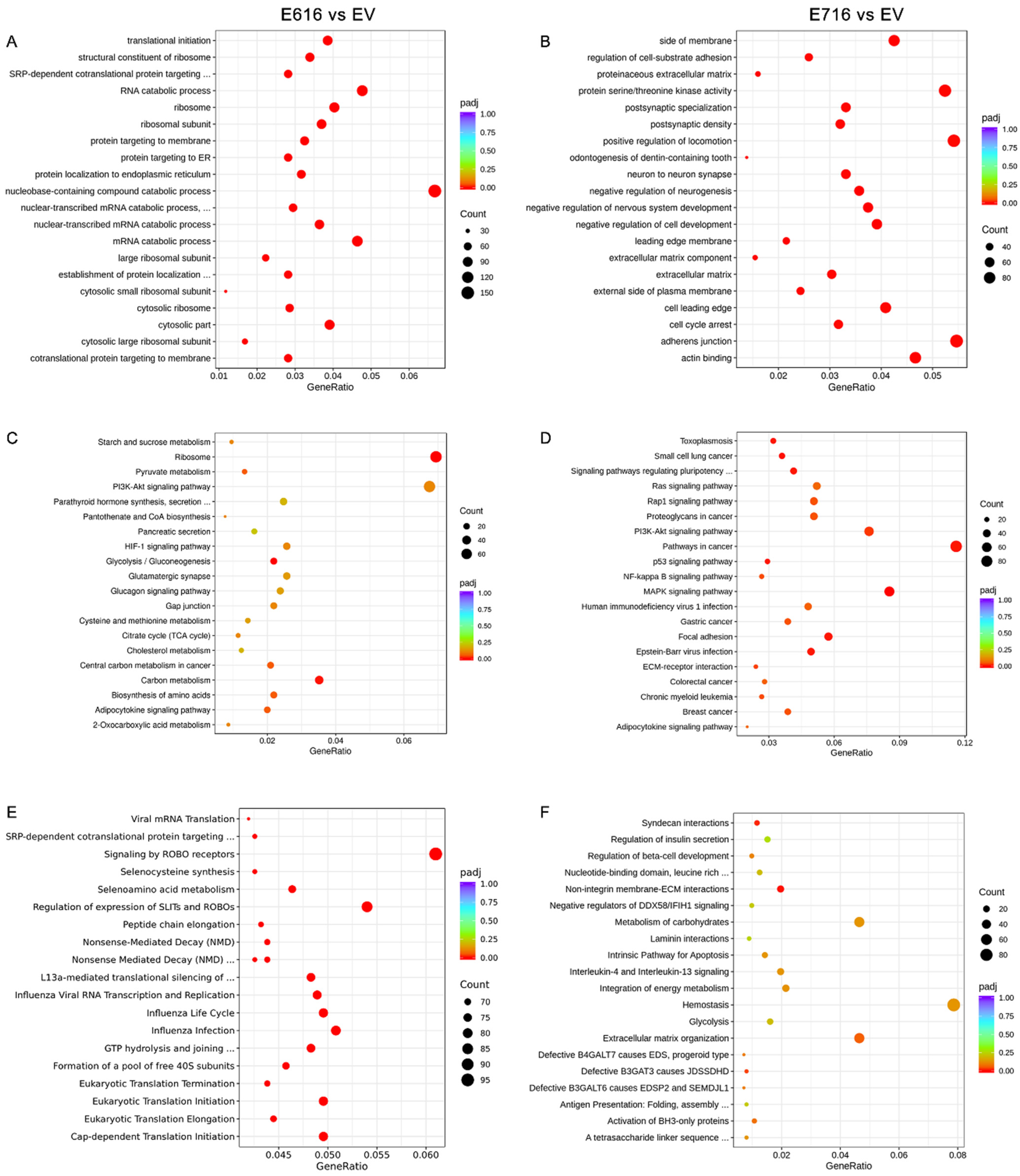 Cells 11 03942 g004 Cells 11 03942 g004