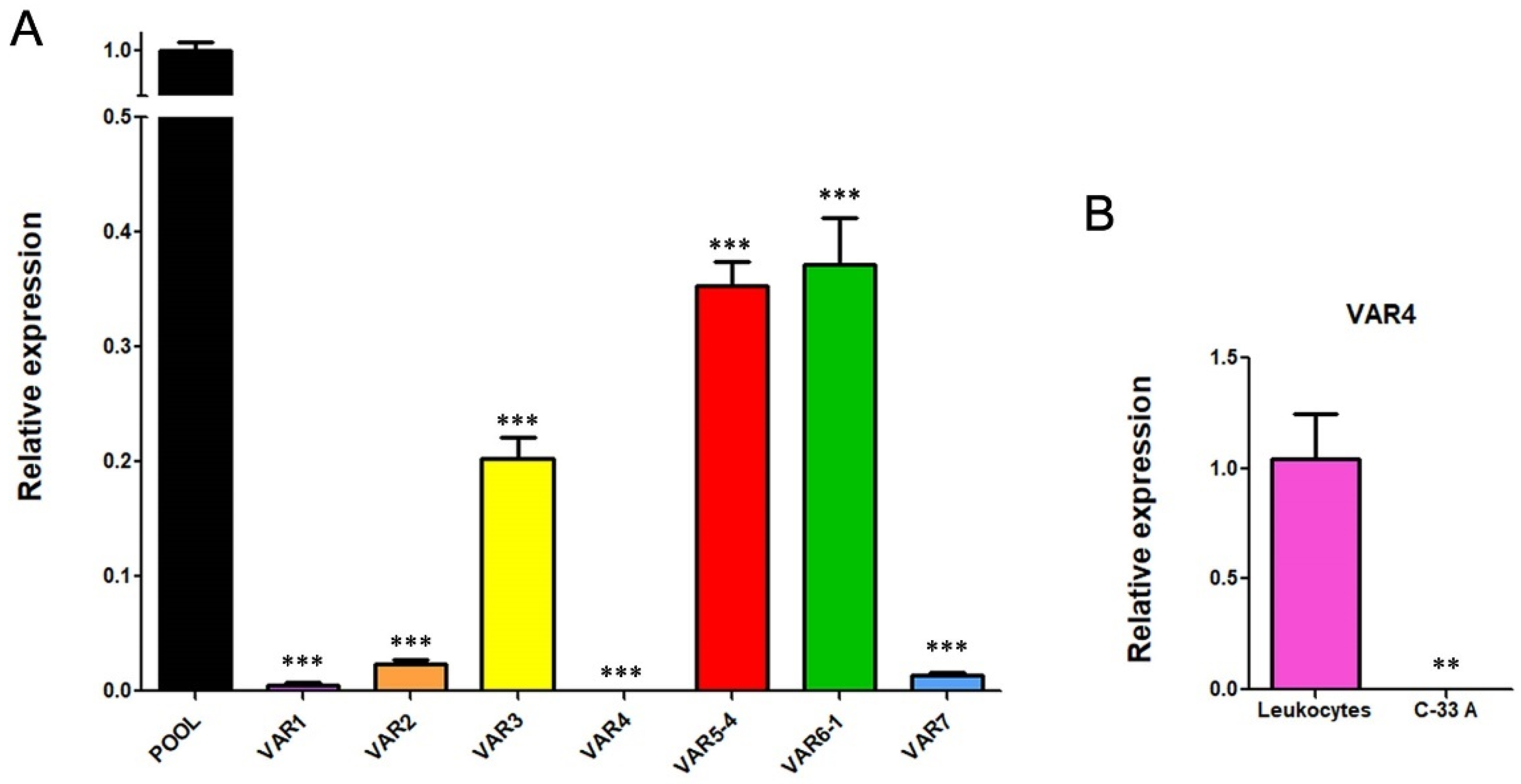 Cells 11 03942 g009 Cells 11 03942 g009