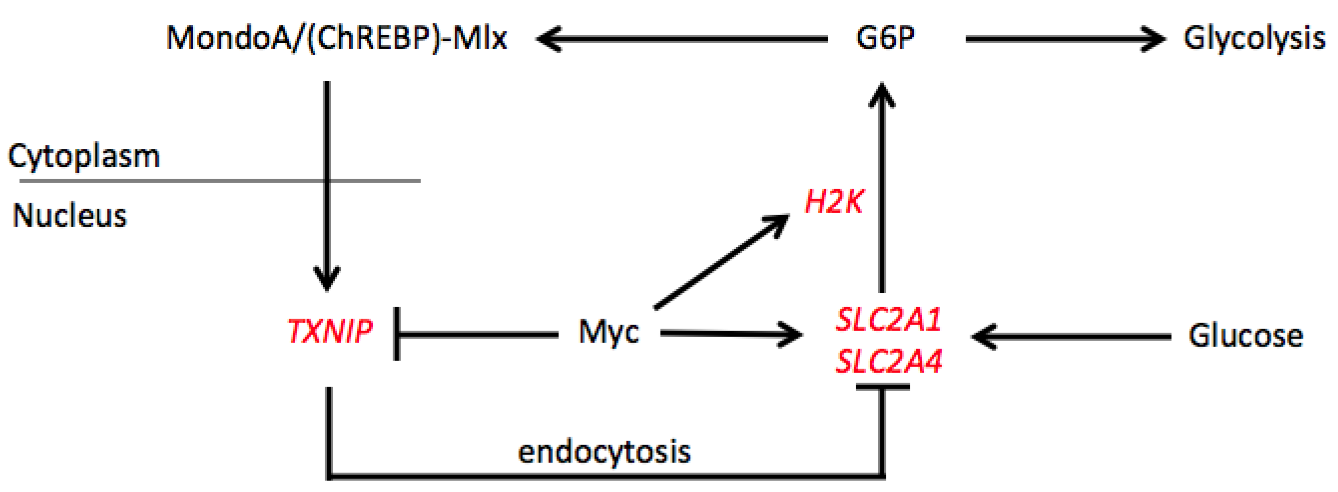 Cells 11 03974 g003 Cells 11 03974 g003