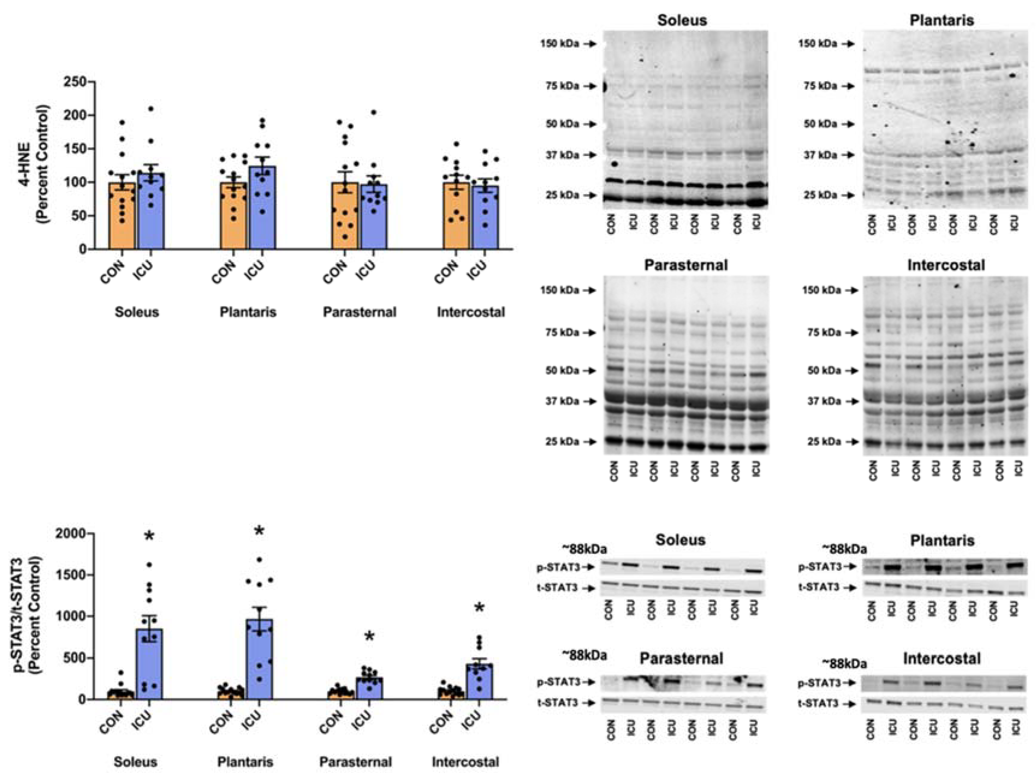 Cells 11 04005 g007 Cells 11 04005 g007