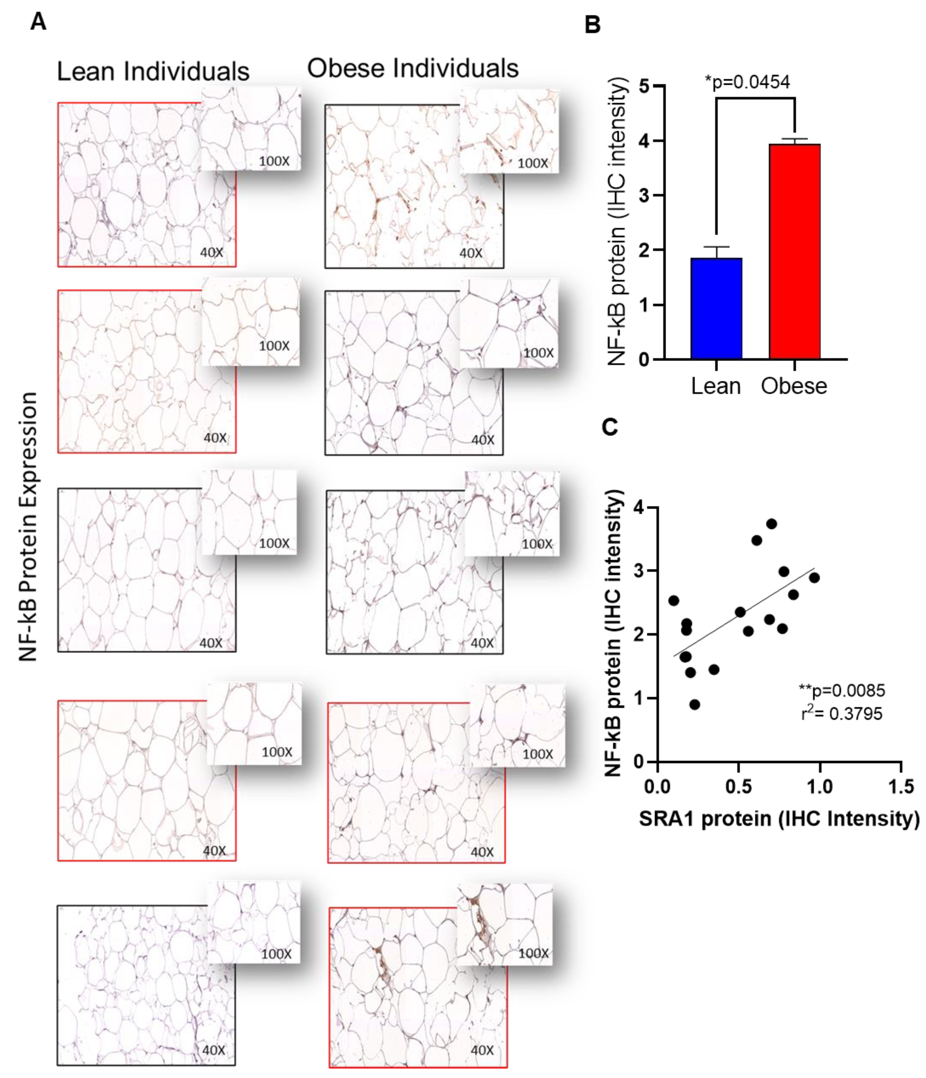 Cells 11 04007 g005 Cells 11 04007 g005