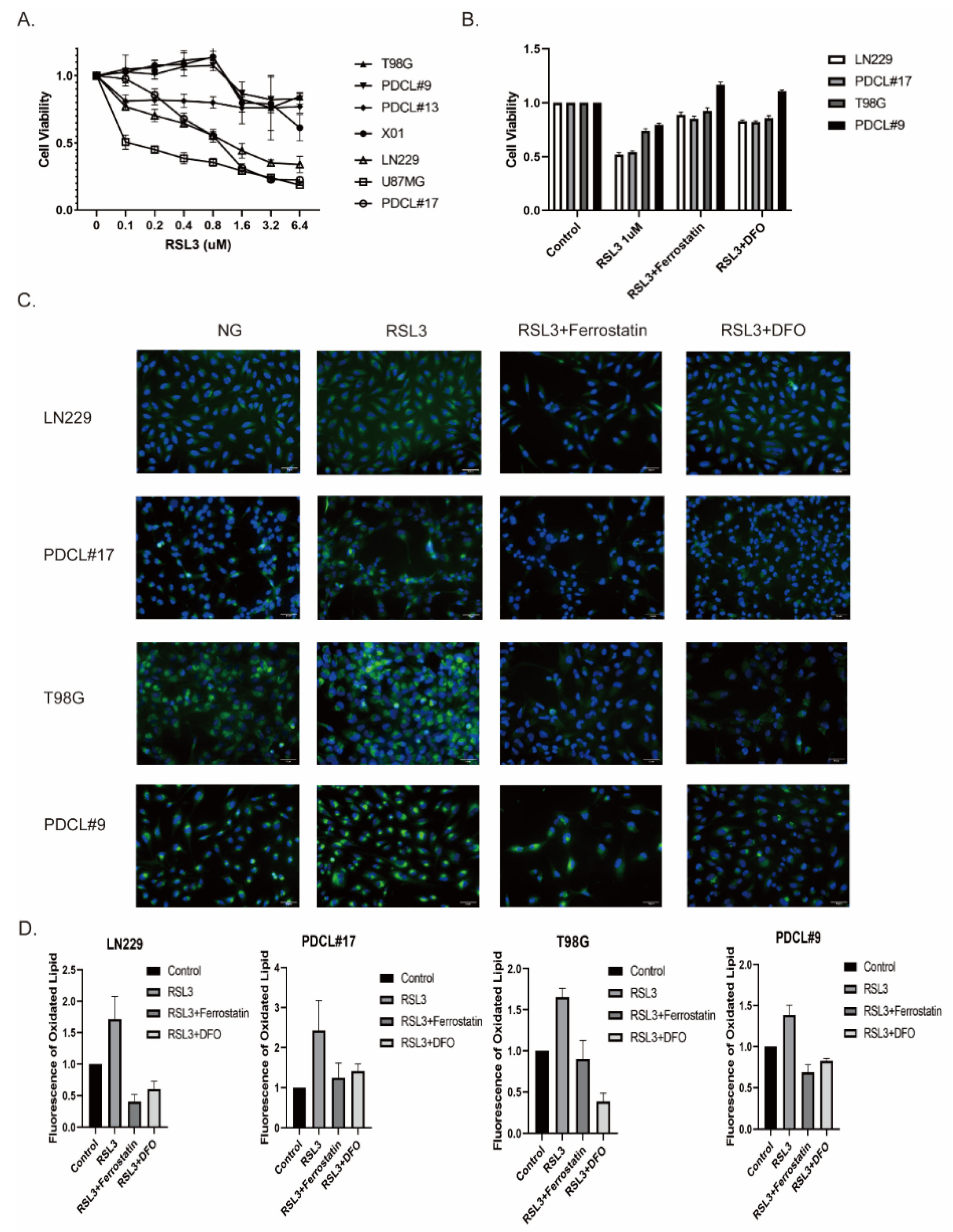 Cells 11 04015 g001 Cells 11 04015 g001
