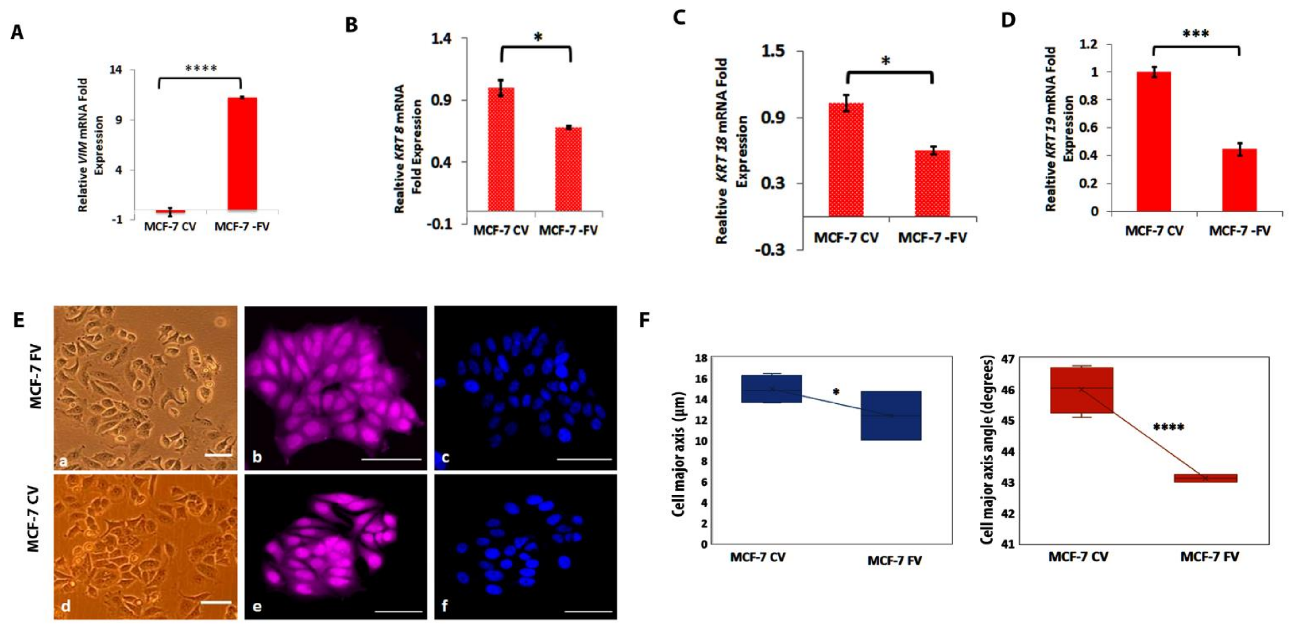 Cells 11 04035 g002a