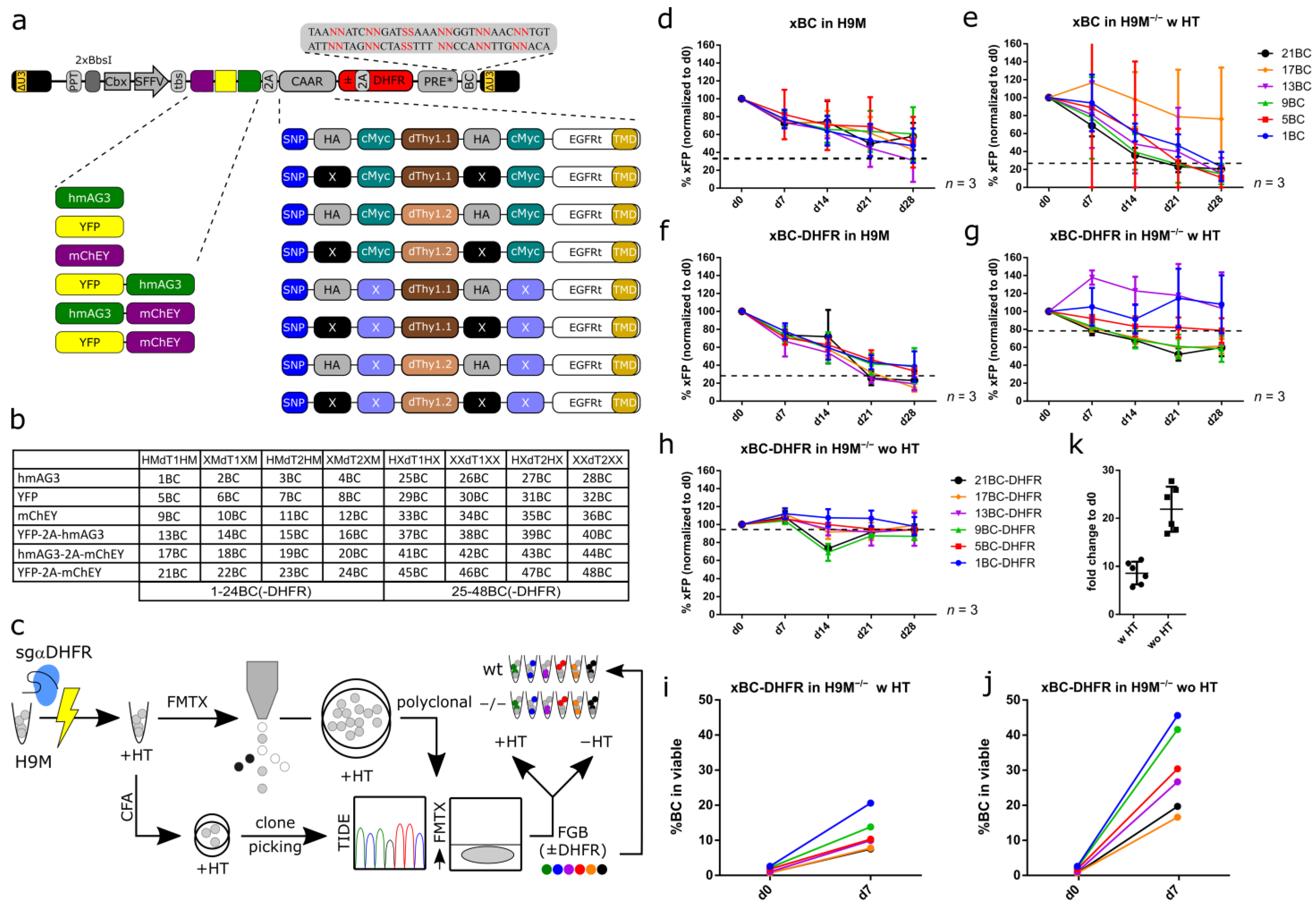 Cells 11 04045 g001 Cells 11 04045 g001