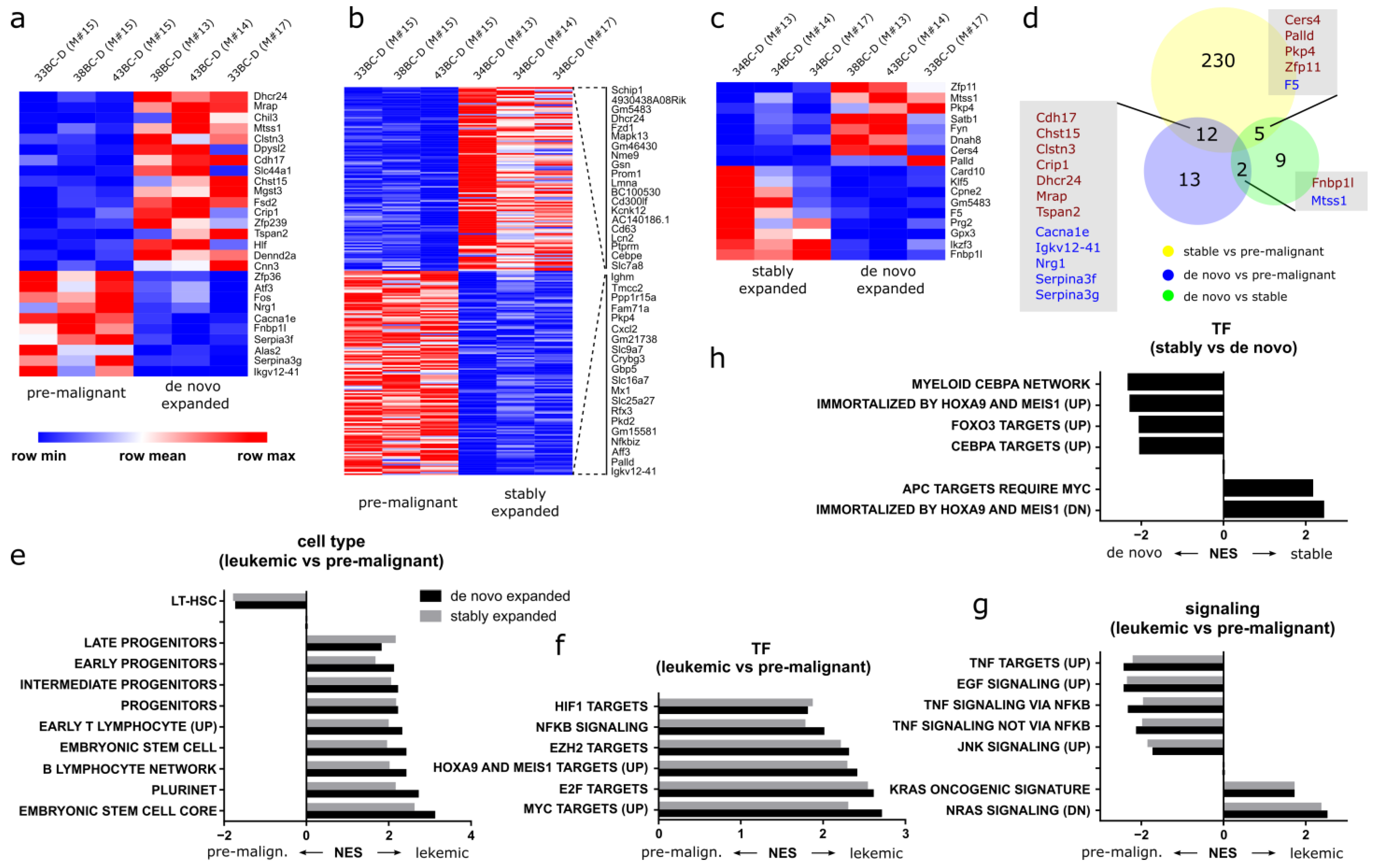 Cells 11 04045 g007 Cells 11 04045 g007