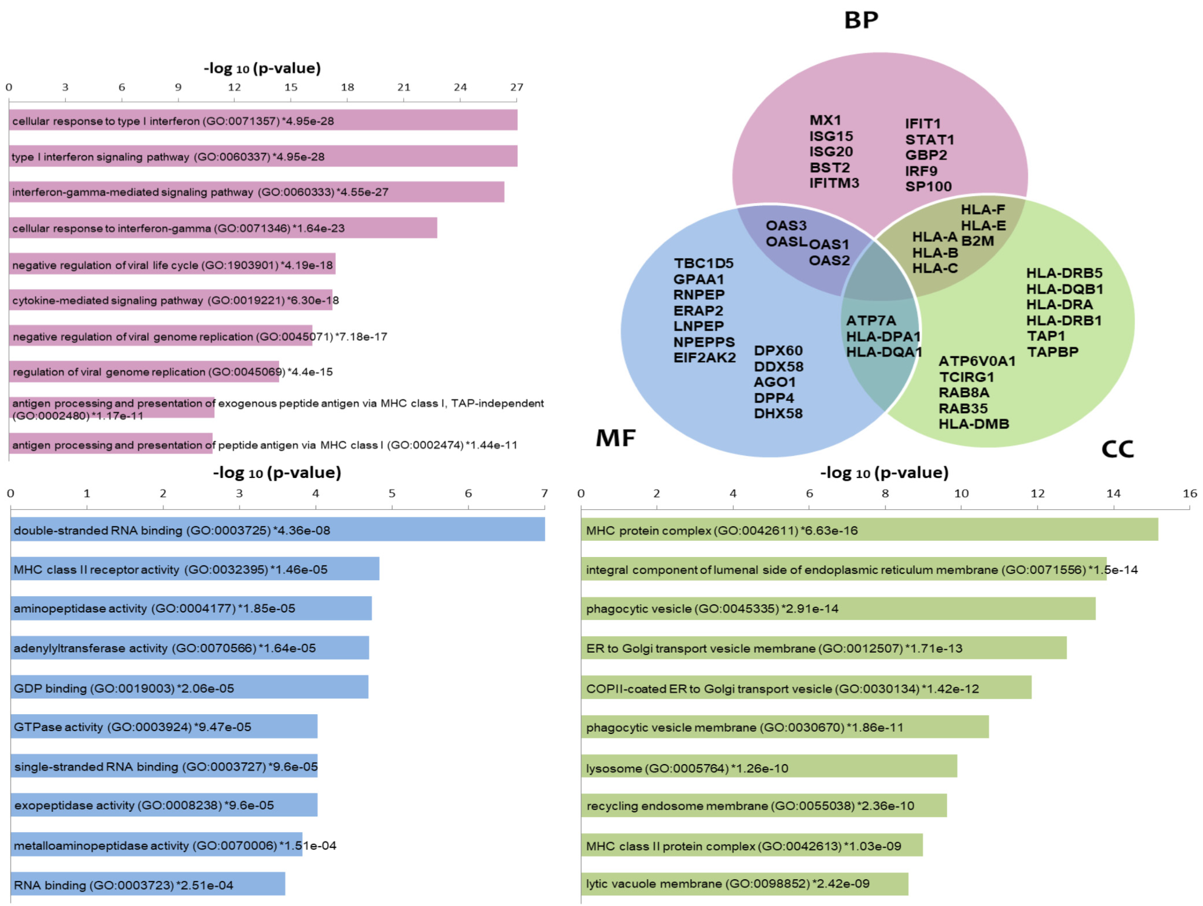 Cells 11 04068 g002 Cells 11 04068 g002