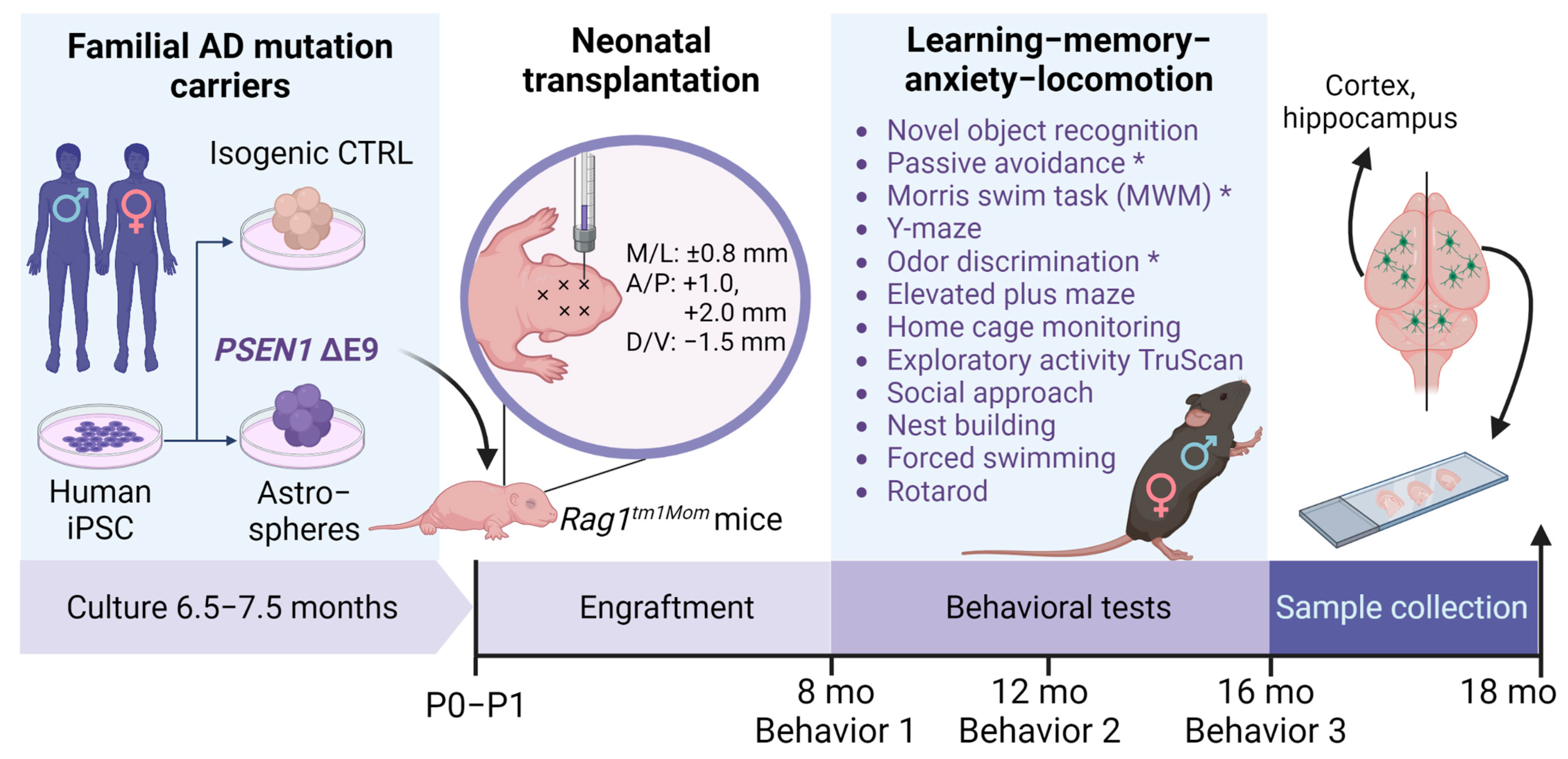 Cells 11 04116 g001 Cells 11 04116 g001