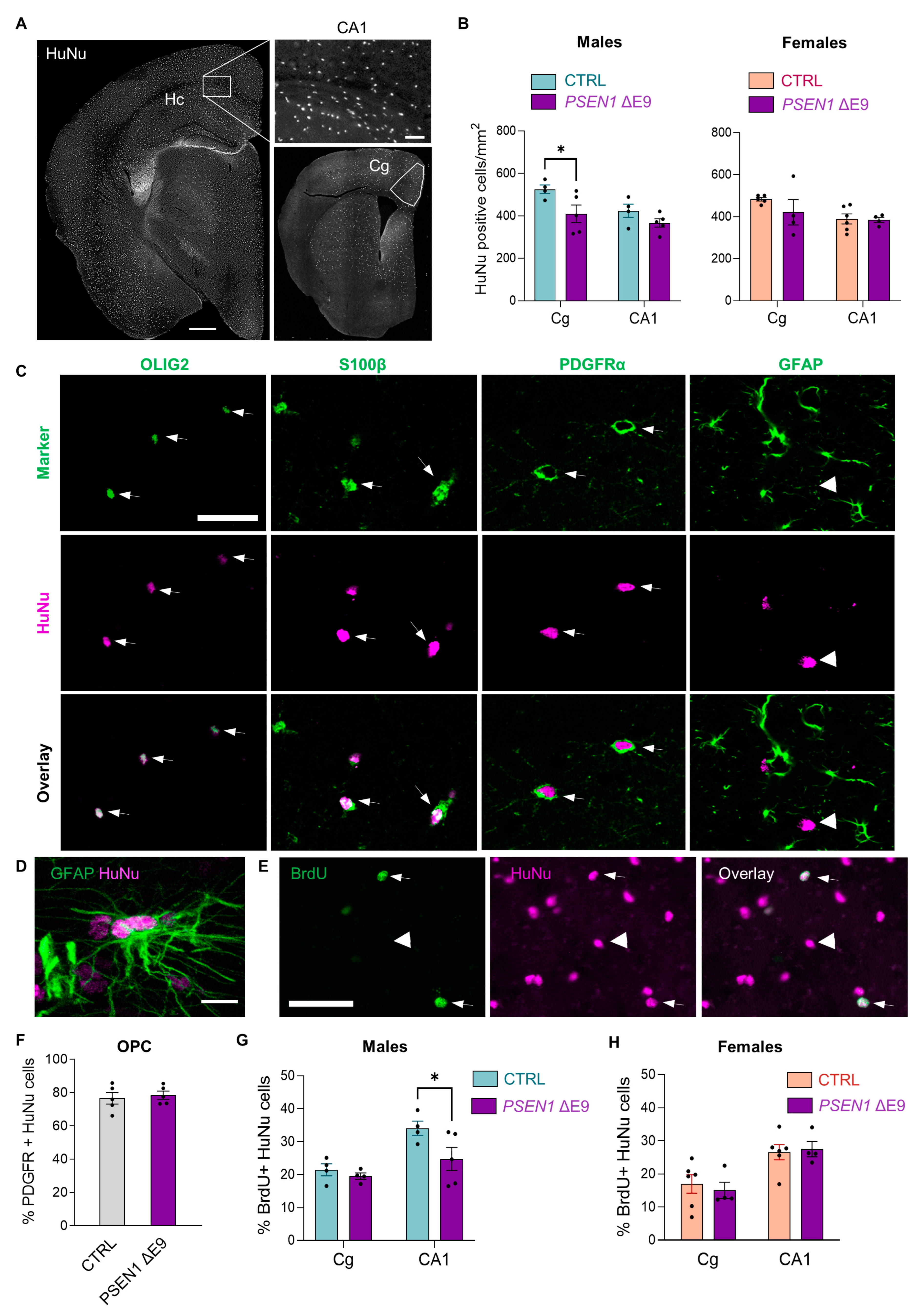 Cells 11 04116 g003 Cells 11 04116 g003