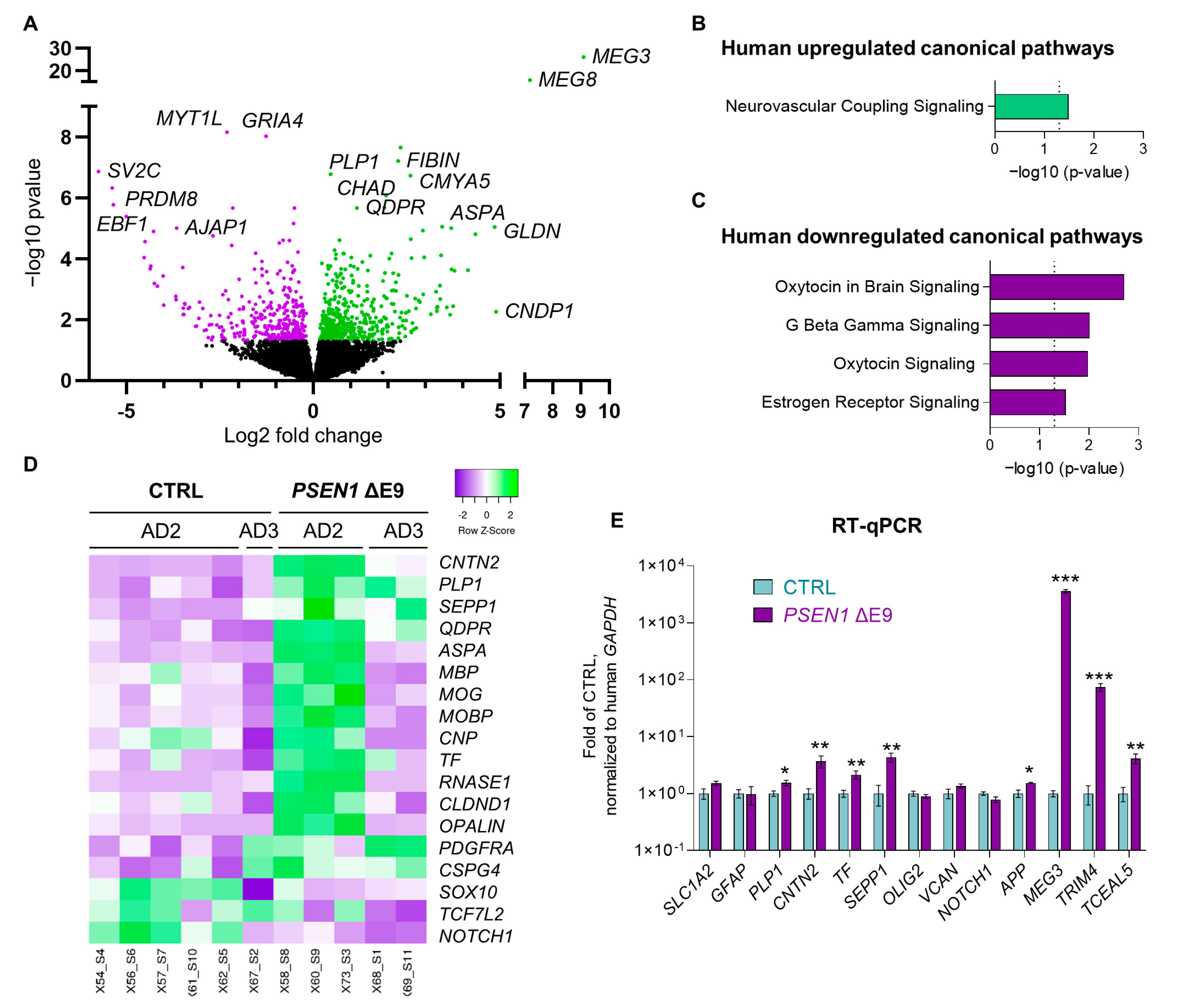 Cells 11 04116 g005 Cells 11 04116 g005