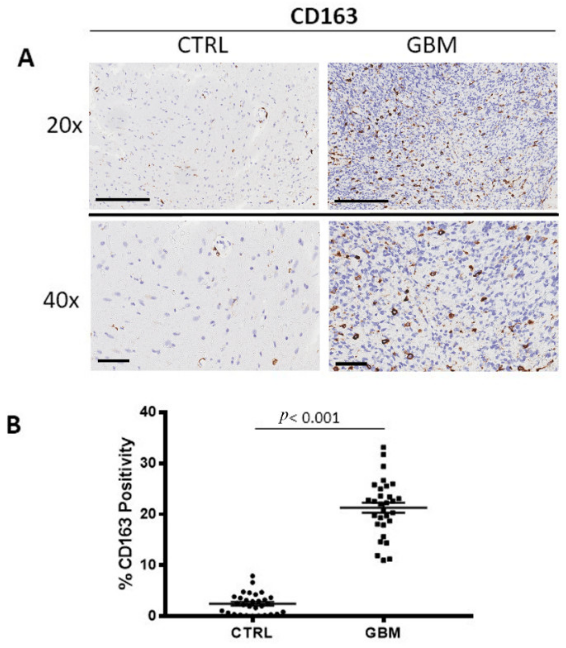Cells 12 00011 g002 Cells 12 00011 g002