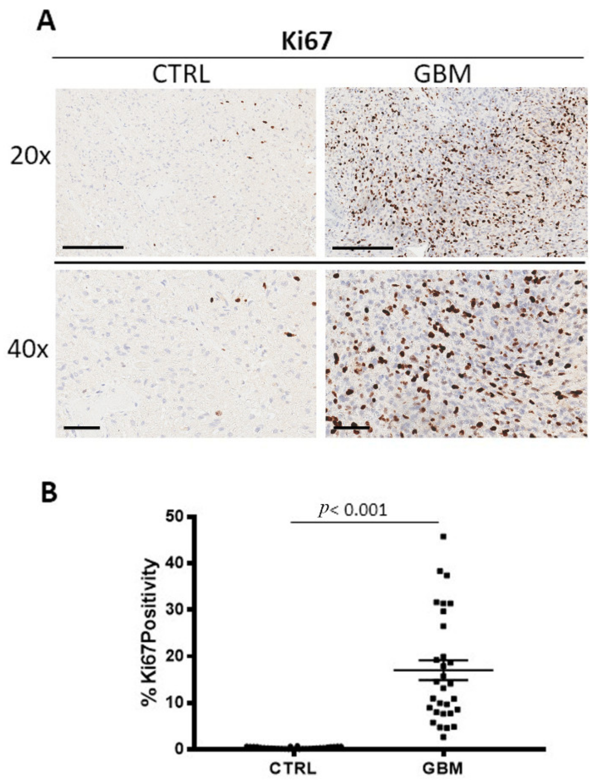 Cells 12 00011 g005 Cells 12 00011 g005