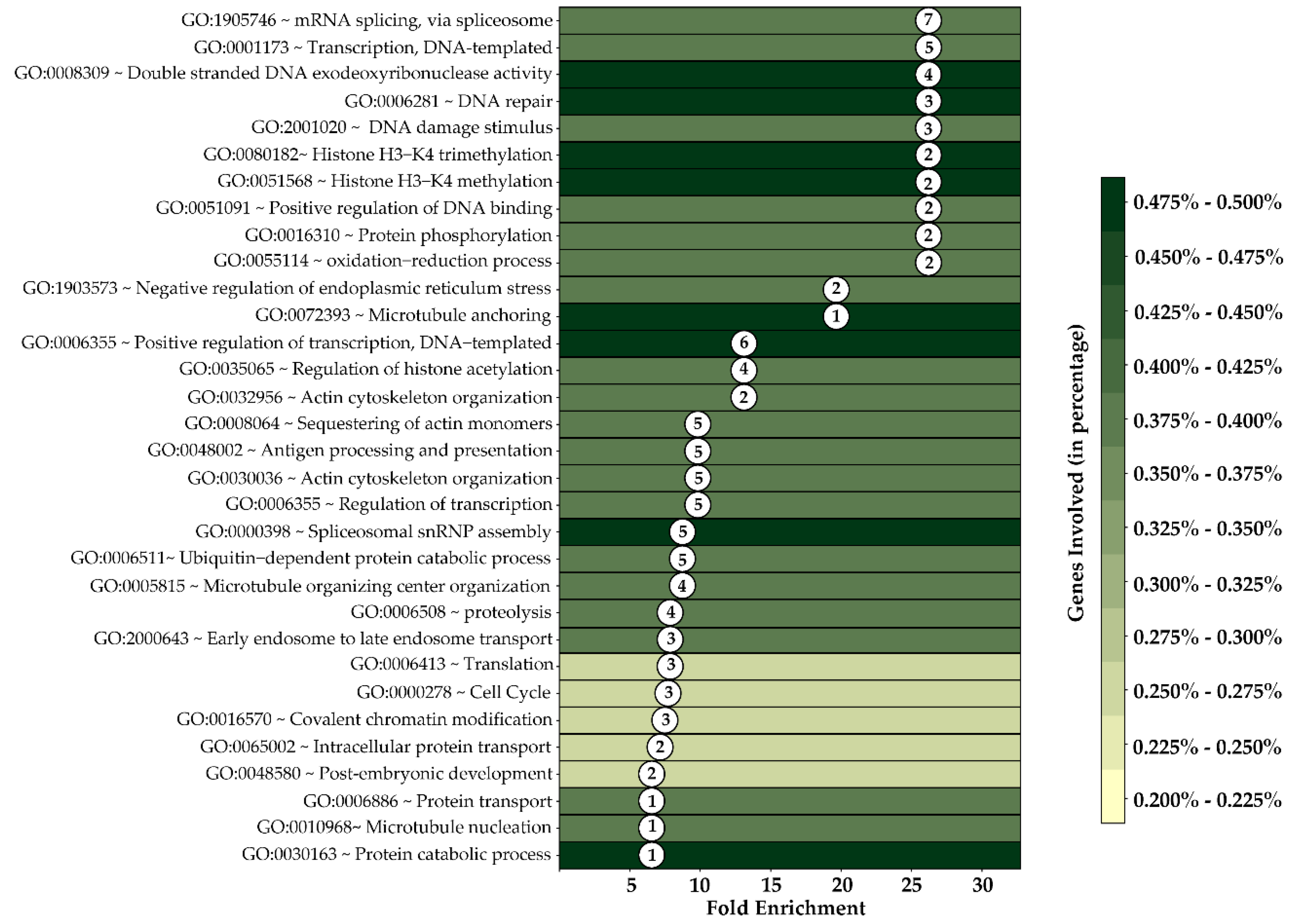 Cells 12 00014 g008 Cells 12 00014 g008