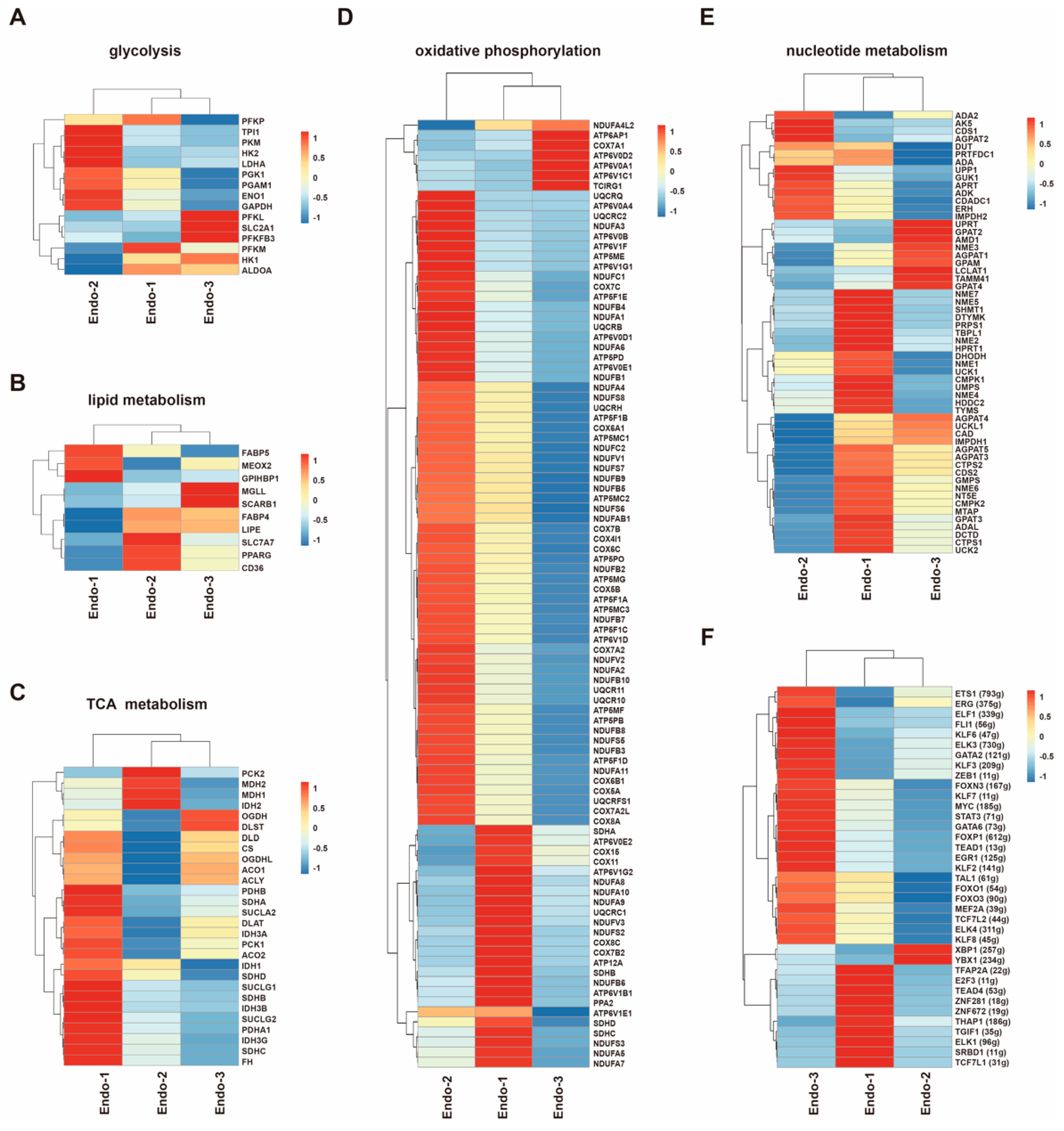 Cells 12 00087 g003 Cells 12 00087 g003