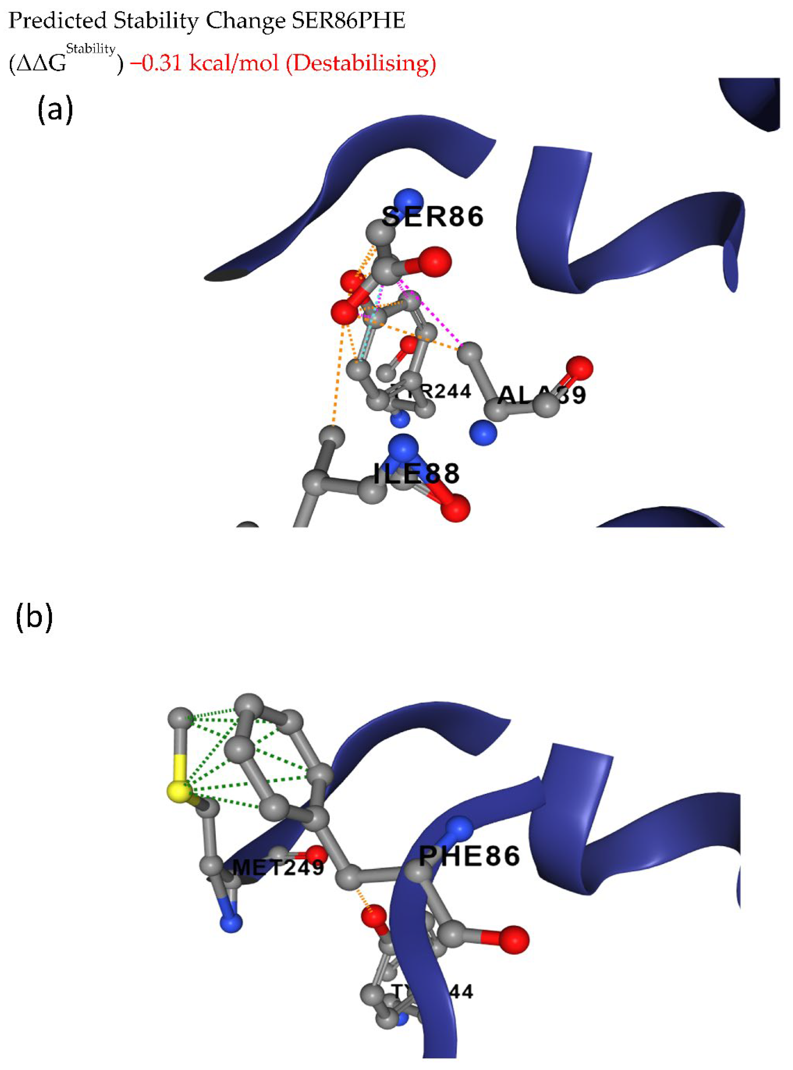 Cells 12 00097 g004 Cells 12 00097 g004