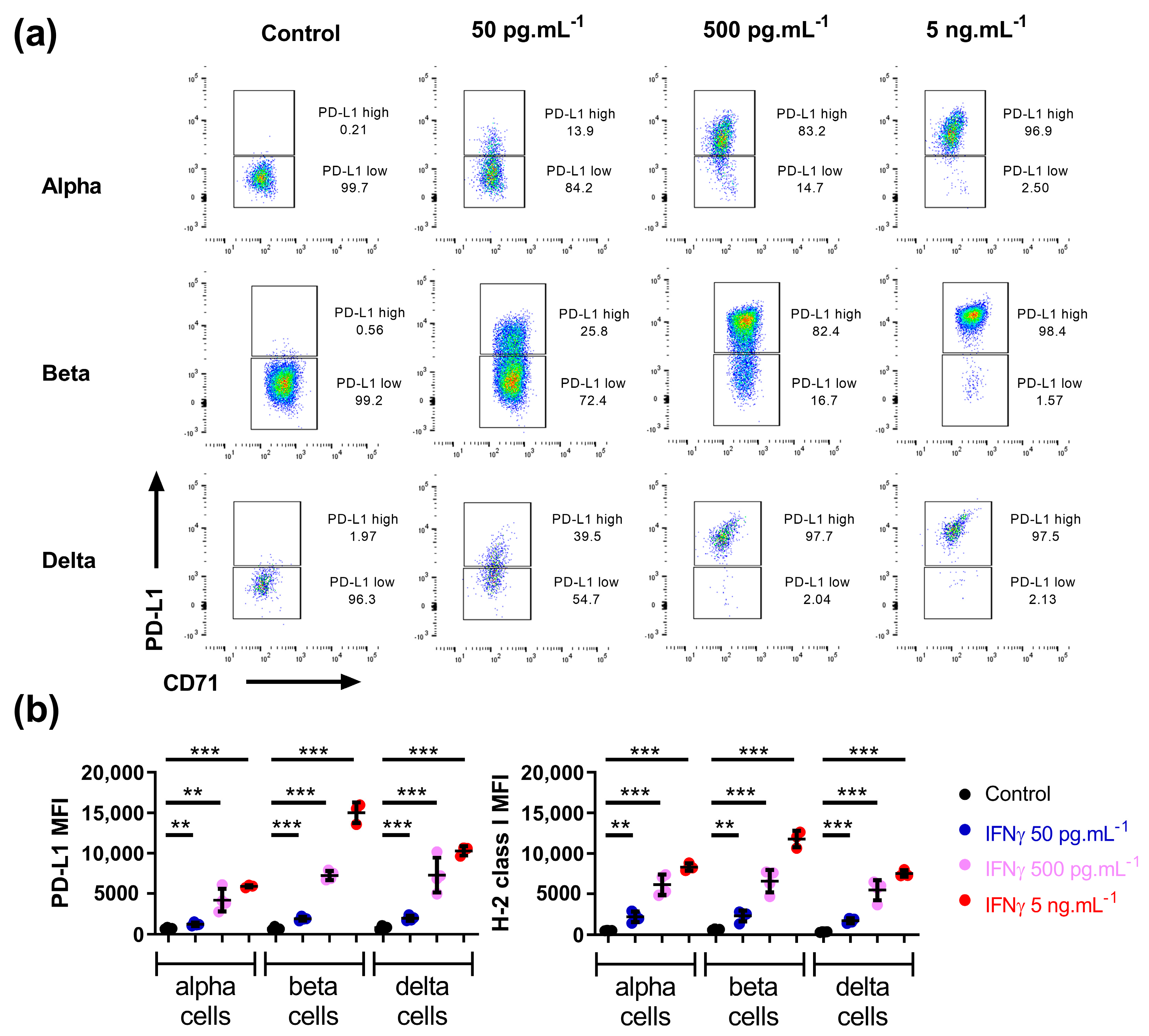 Cells 12 00113 g002 Cells 12 00113 g002
