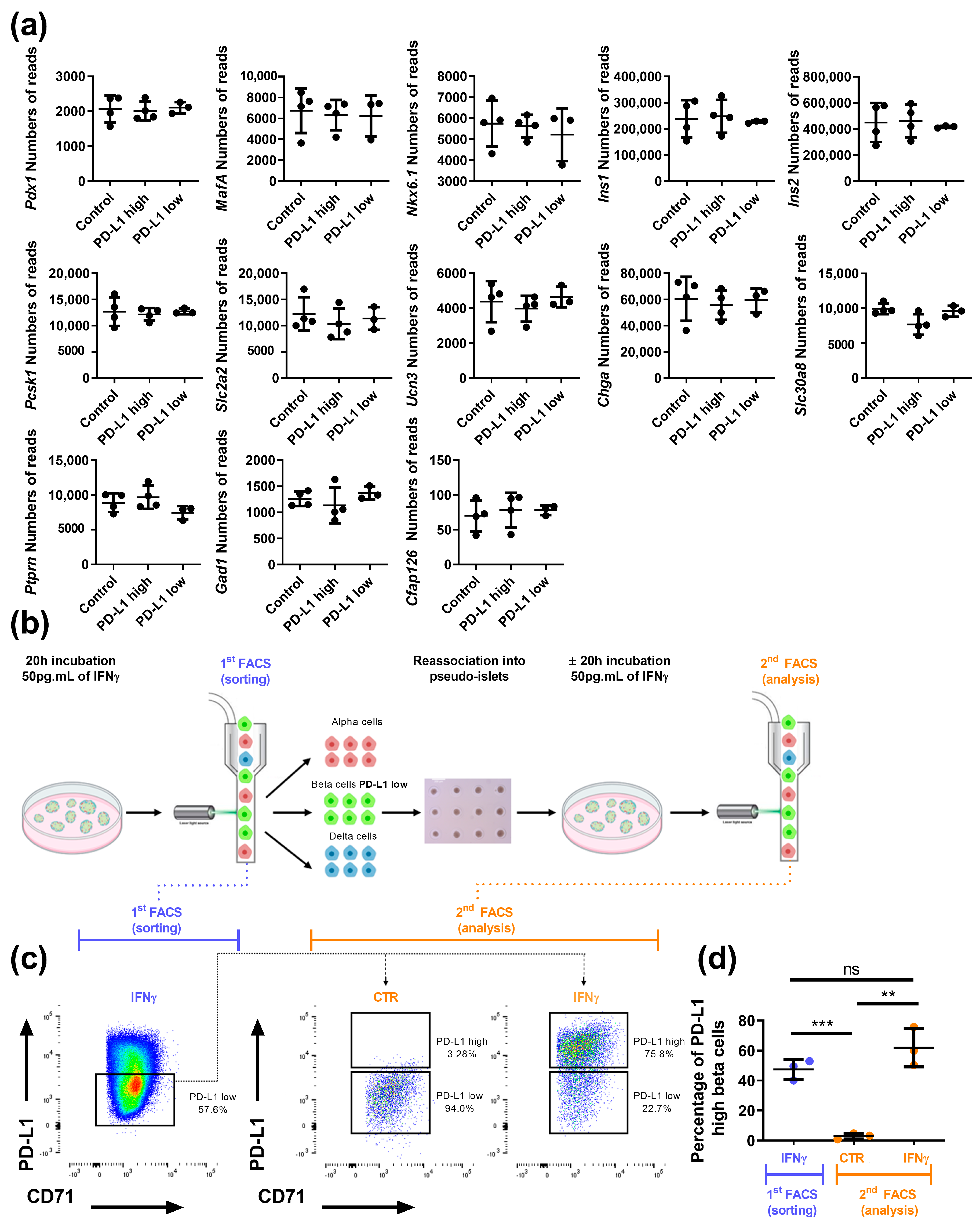Cells 12 00113 g005 Cells 12 00113 g005