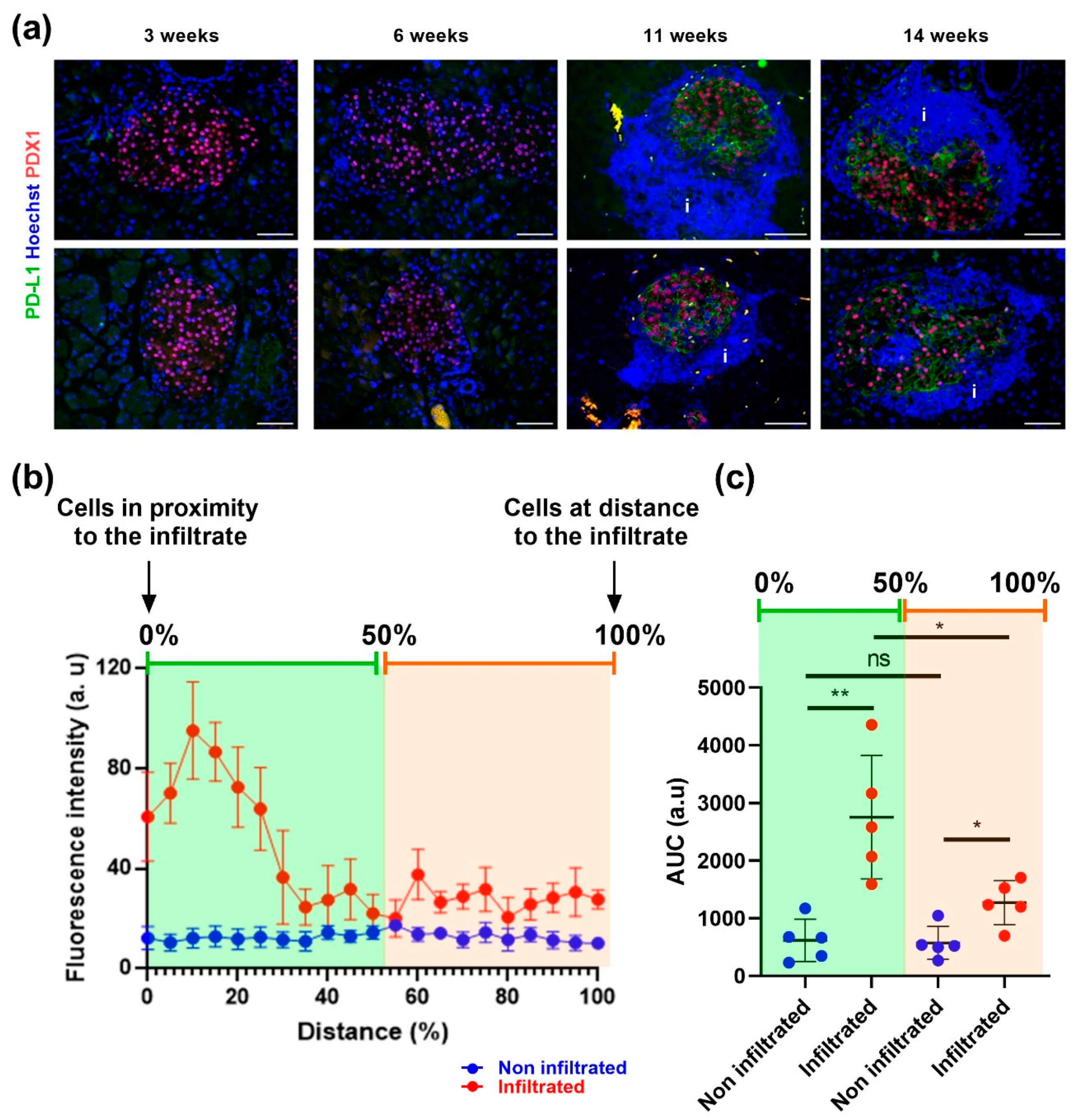 Cells 12 00113 g007 Cells 12 00113 g007
