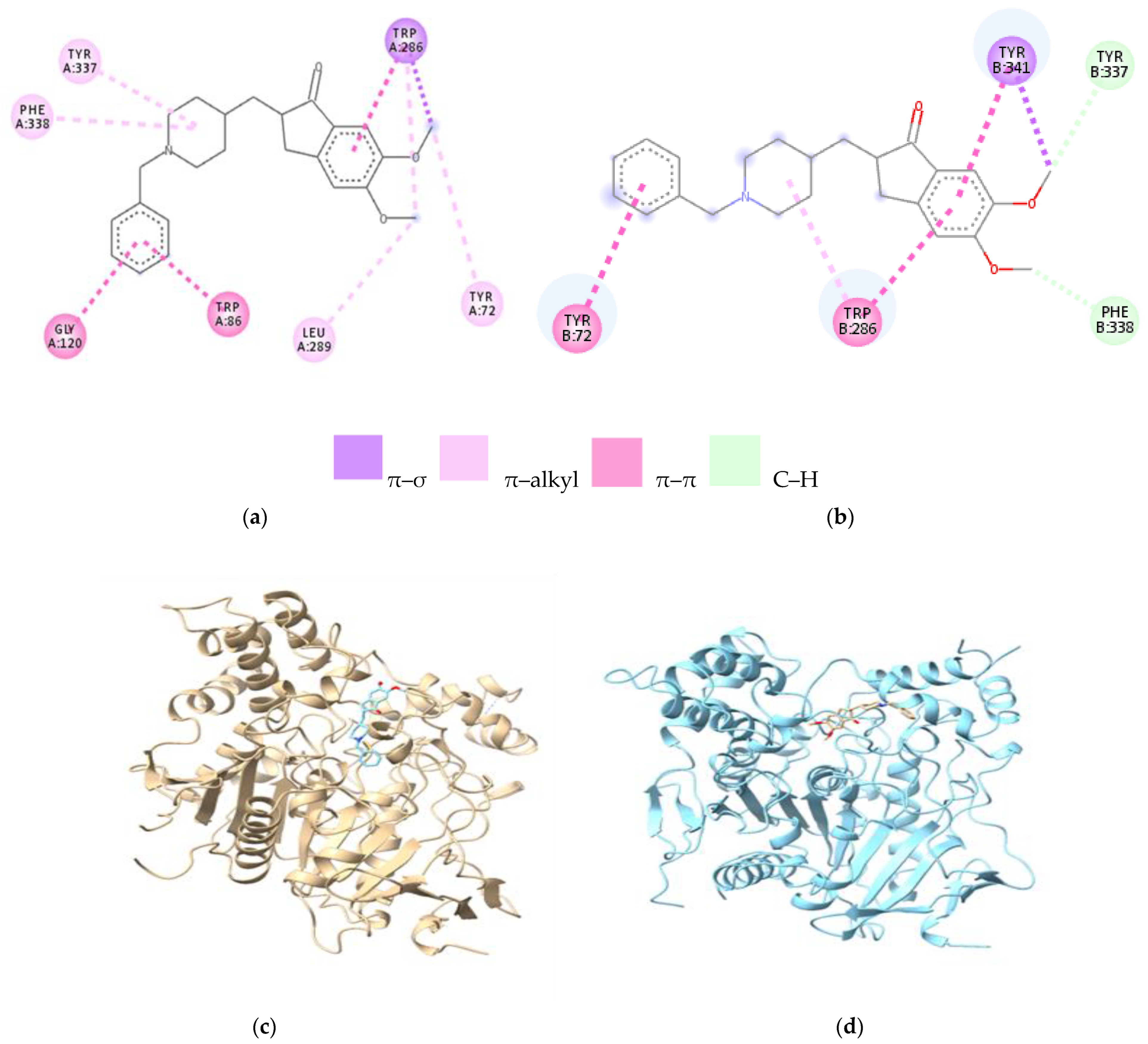Cells 12 00131 g002 Cells 12 00131 g002