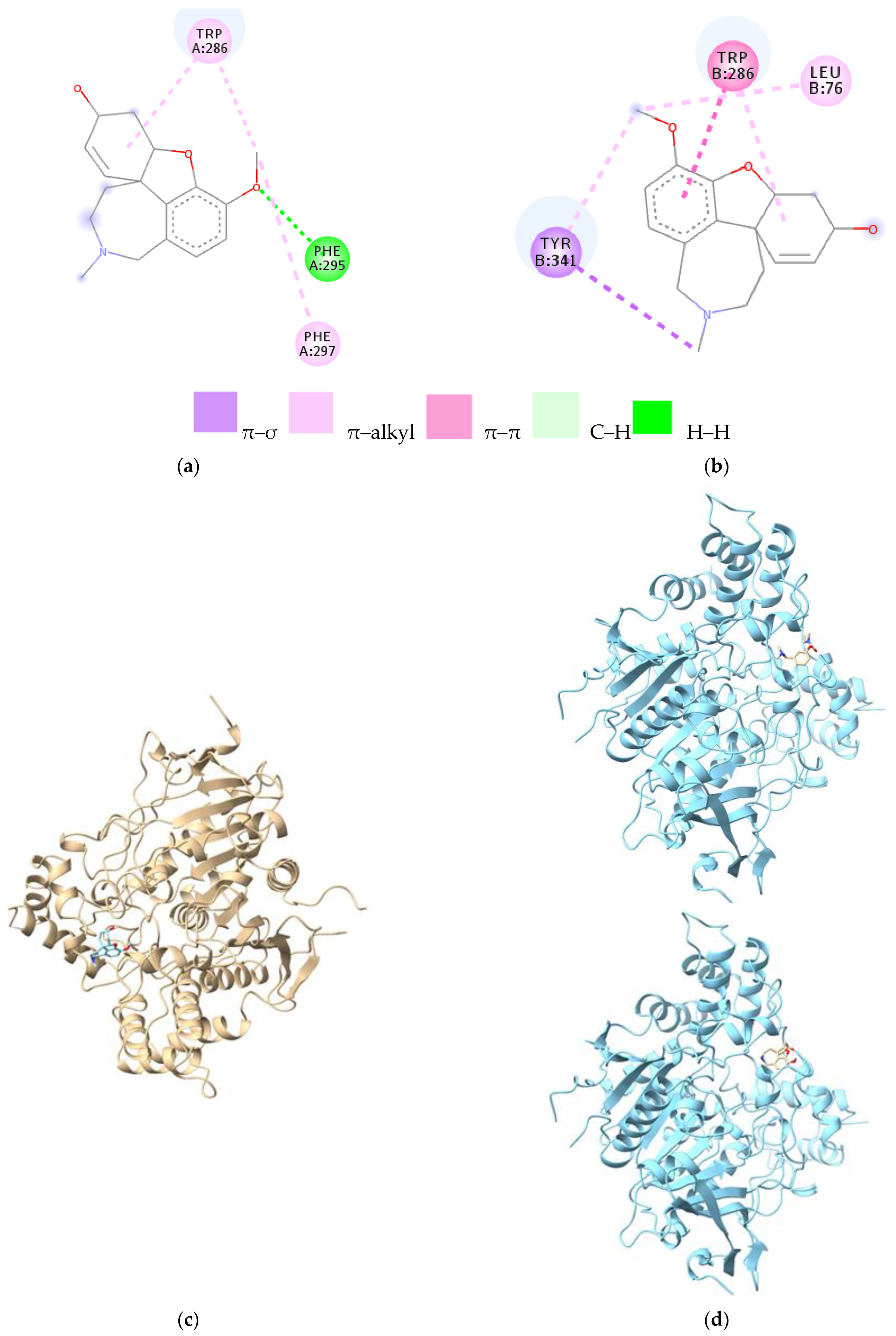Cells 12 00131 g004 Cells 12 00131 g004