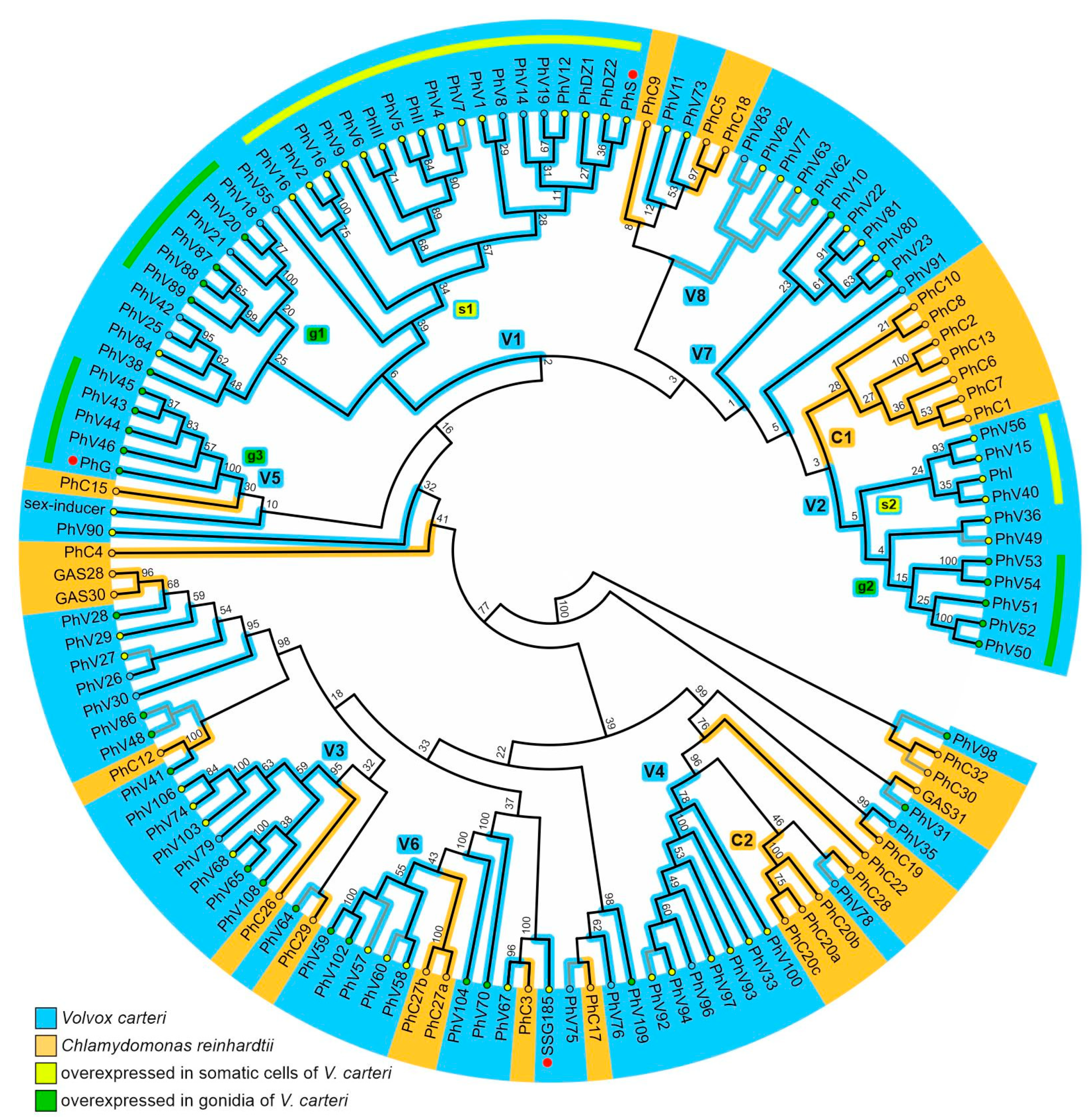 Cells 12 00134 g002 Cells 12 00134 g002