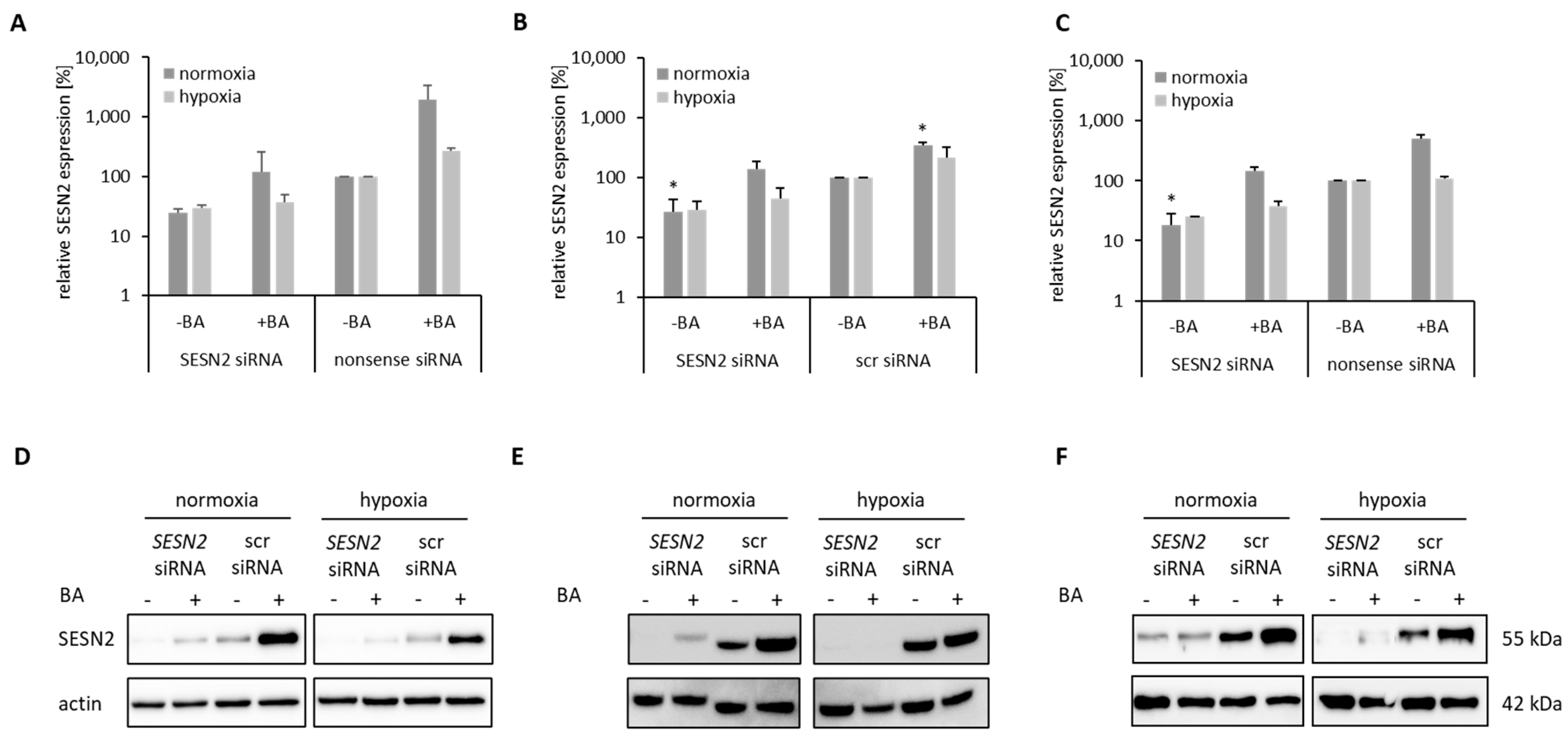 Cells 12 00177 g005 Cells 12 00177 g005