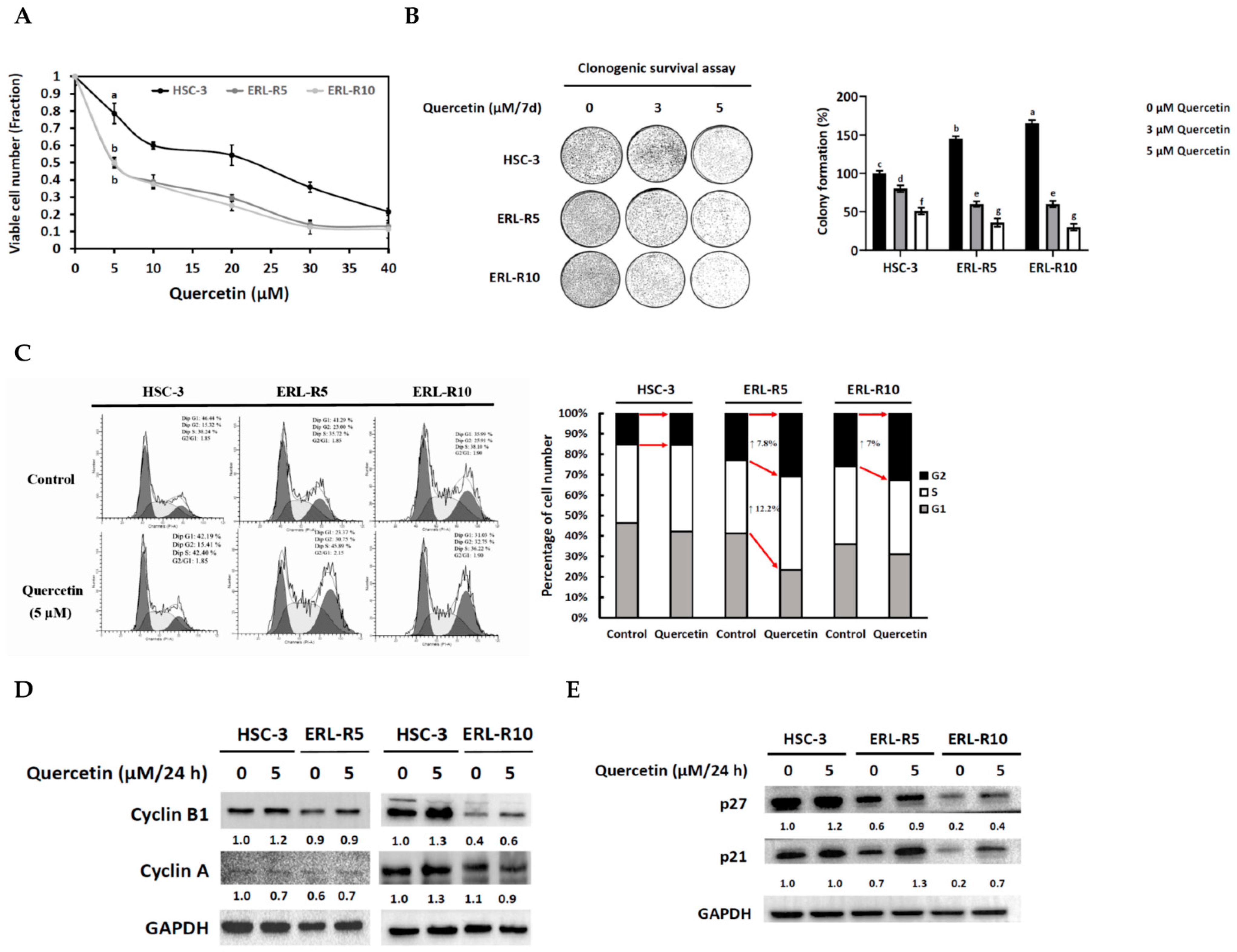 Cells 12 00179 g002 Cells 12 00179 g002