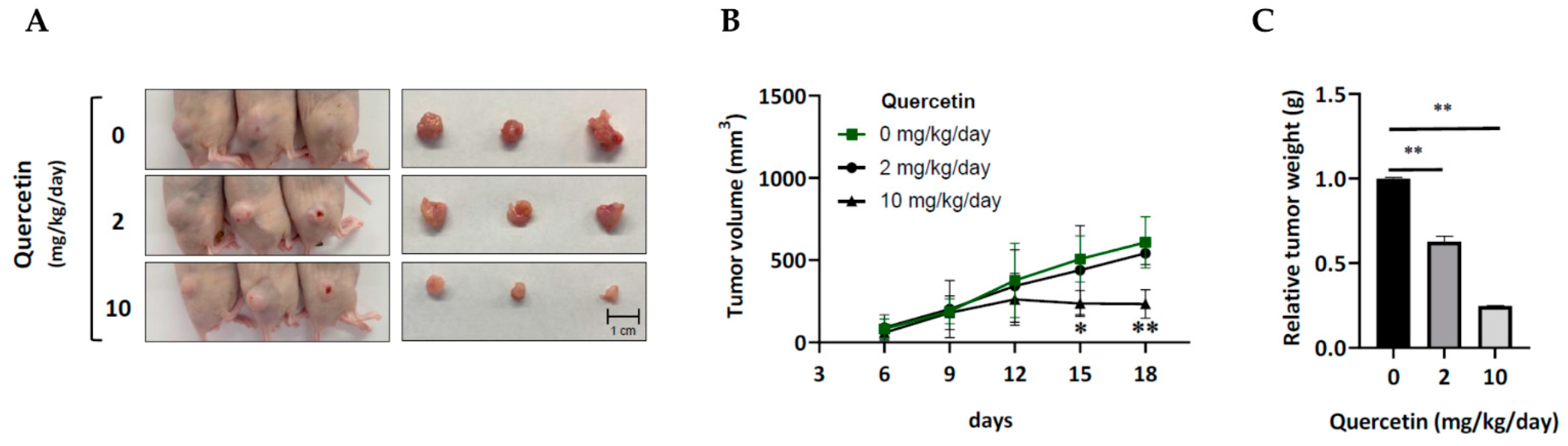 Cells 12 00179 g003 Cells 12 00179 g003