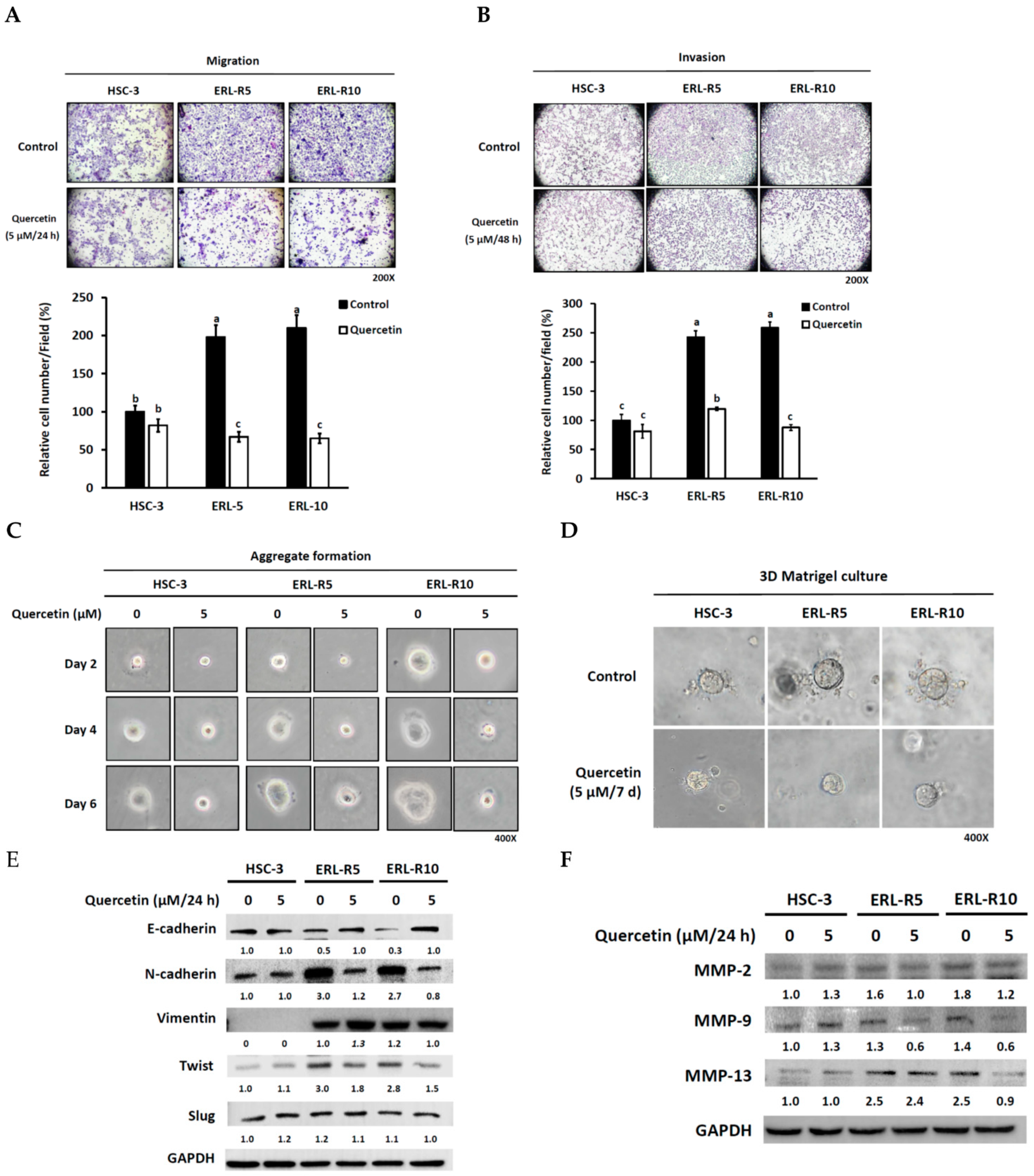 Cells 12 00179 g004 Cells 12 00179 g004
